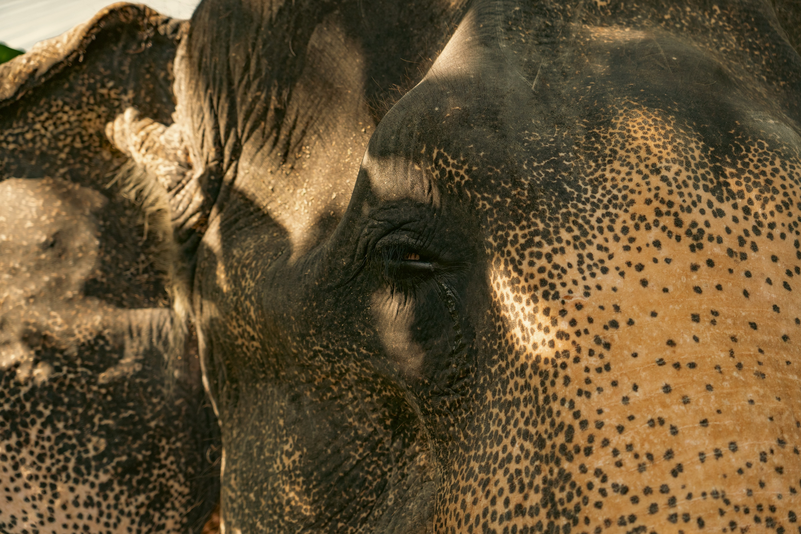 Promo content shooting for Ceylon Forward Tours