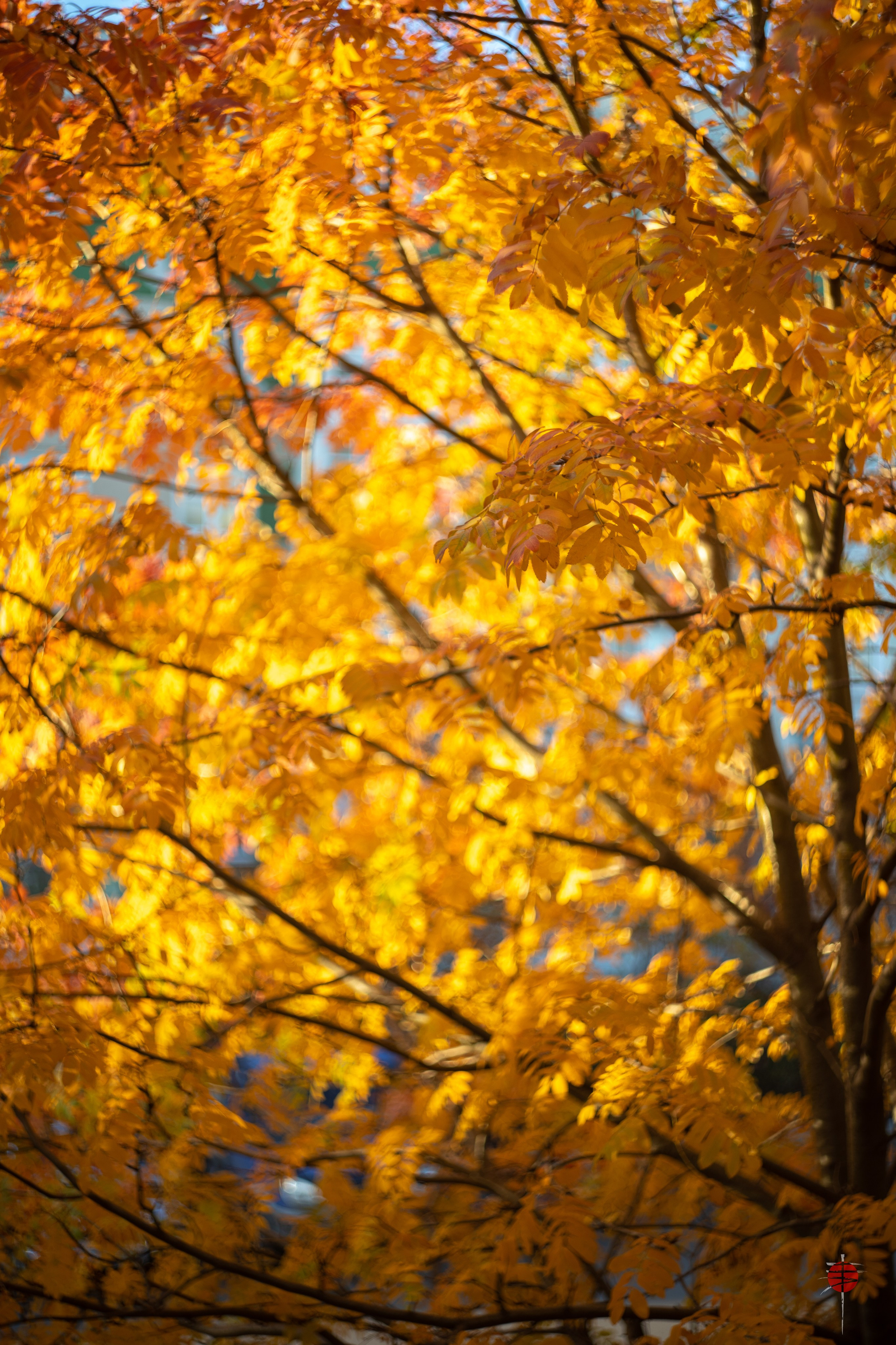 ЦВЕТНЫЕ ФОТОГРАФИИ. Никита Аничкин фото и видео оператор из России