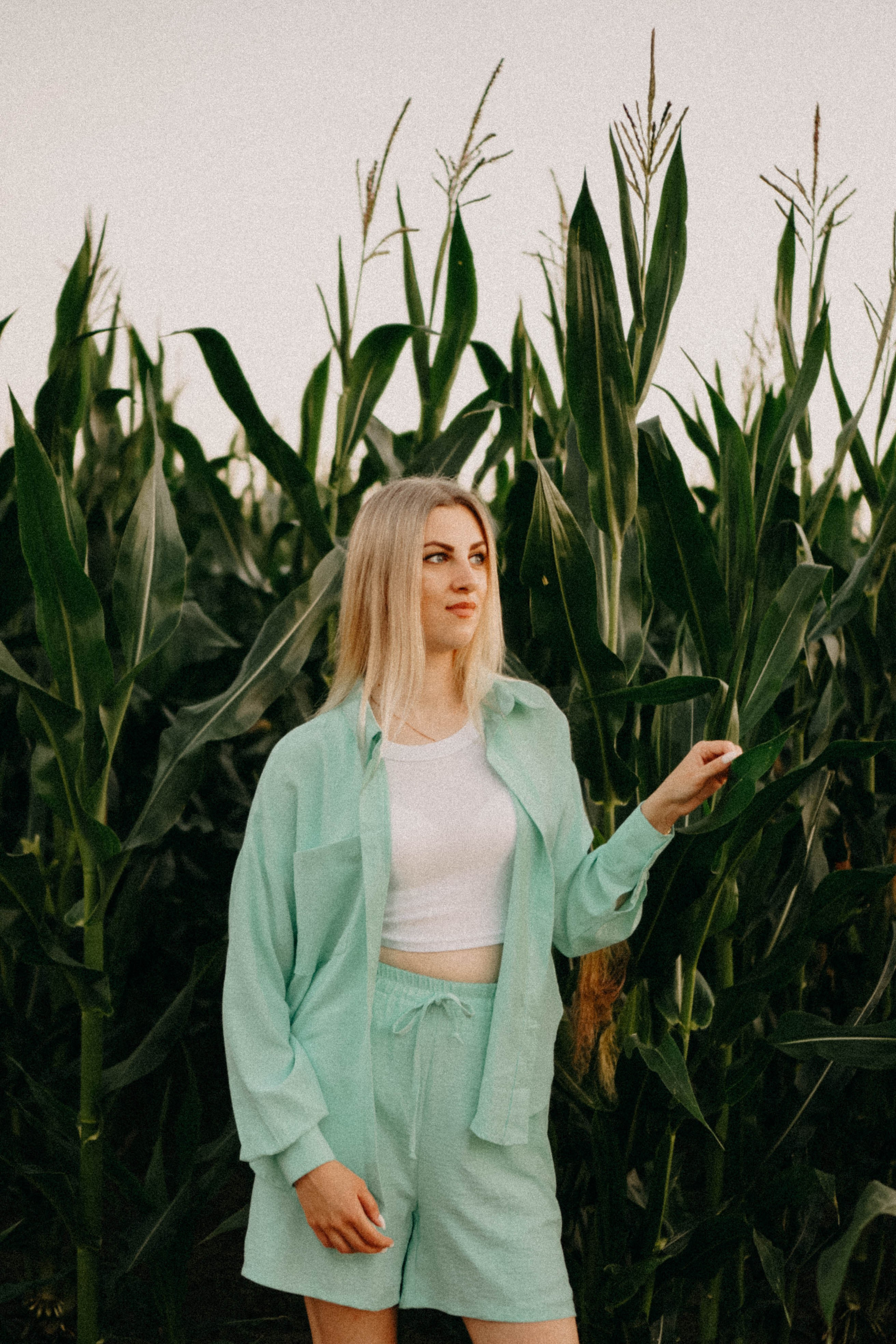 Летний вечер. Профессиональный фотограф, Санкт-Петербург — Виктория Богомолова