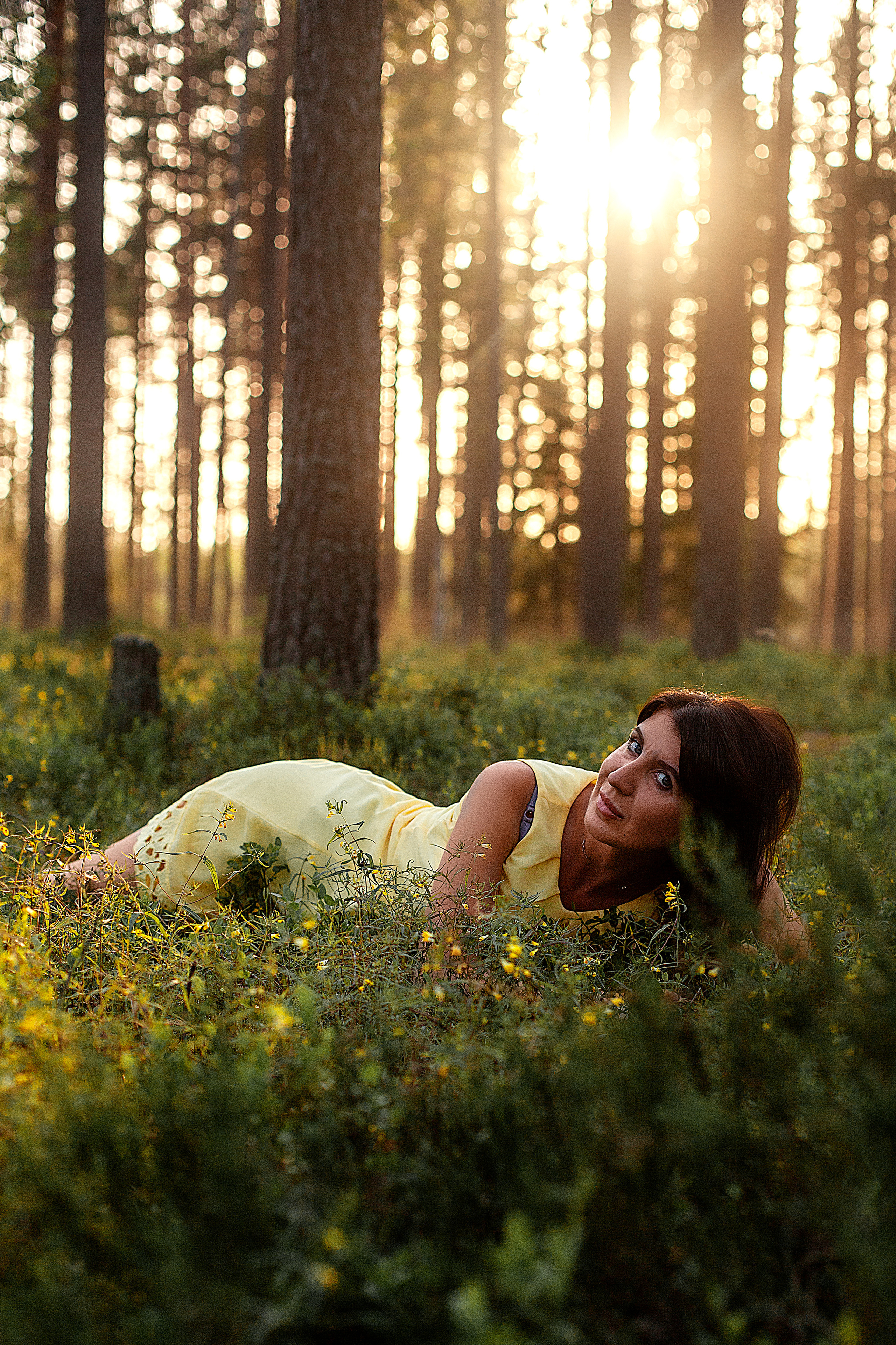 Лес. Фотограф Анастасия Аветян. Санкт-Петербург