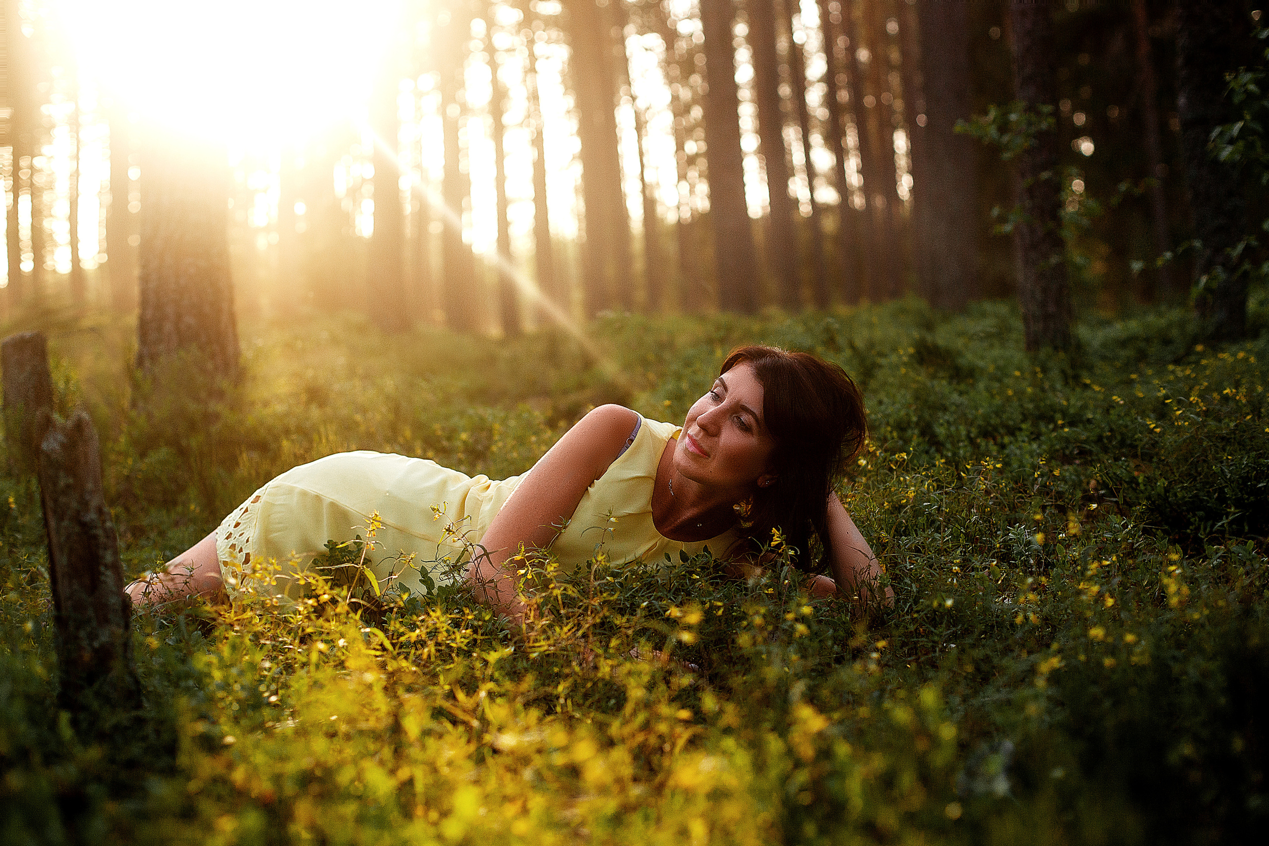 Лес. Фотограф Анастасия Аветян. Санкт-Петербург