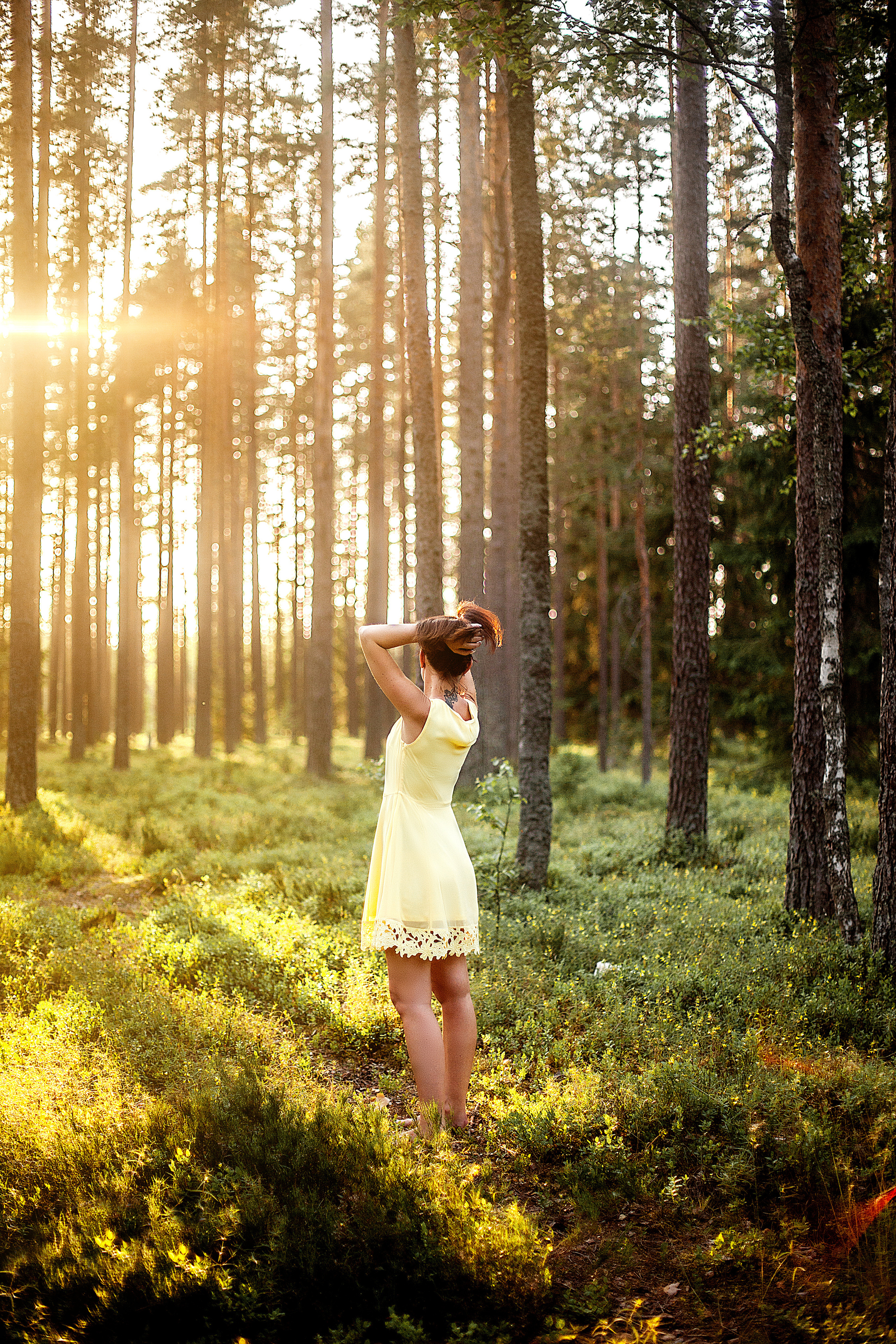 Лес. Фотограф Анастасия Аветян. Санкт-Петербург