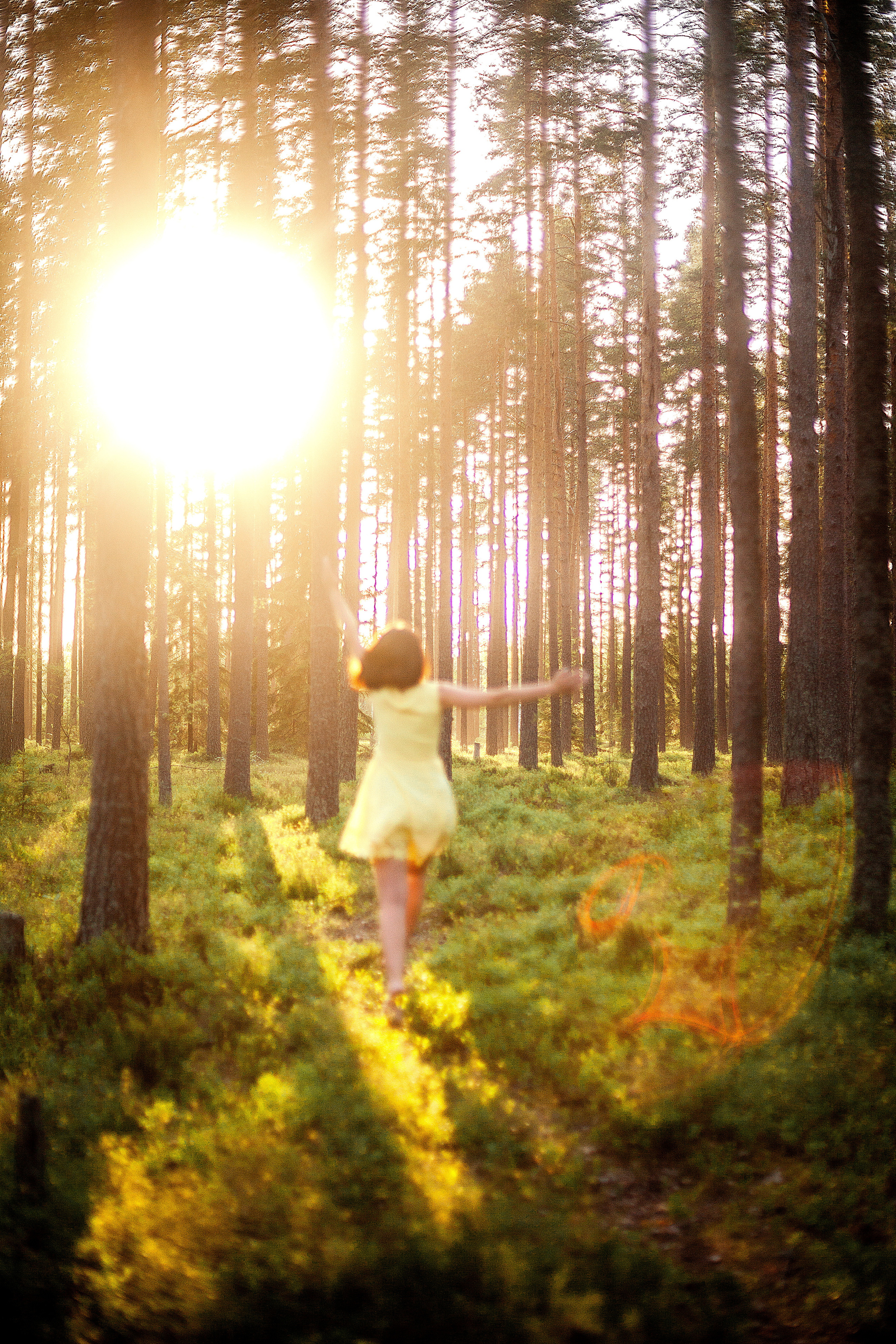 Лес. Фотограф Анастасия Аветян. Санкт-Петербург