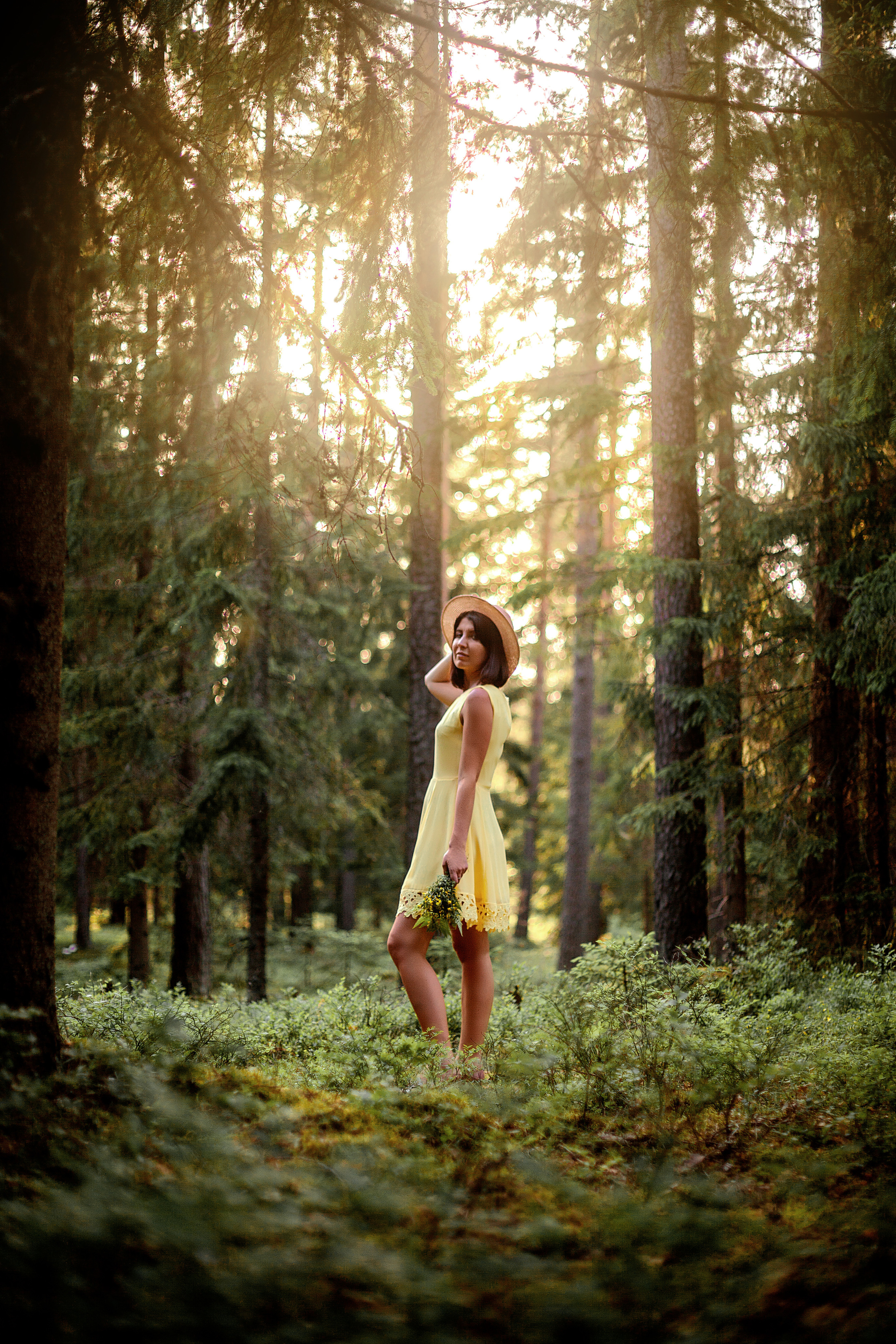 Лес. Фотограф Анастасия Аветян. Санкт-Петербург