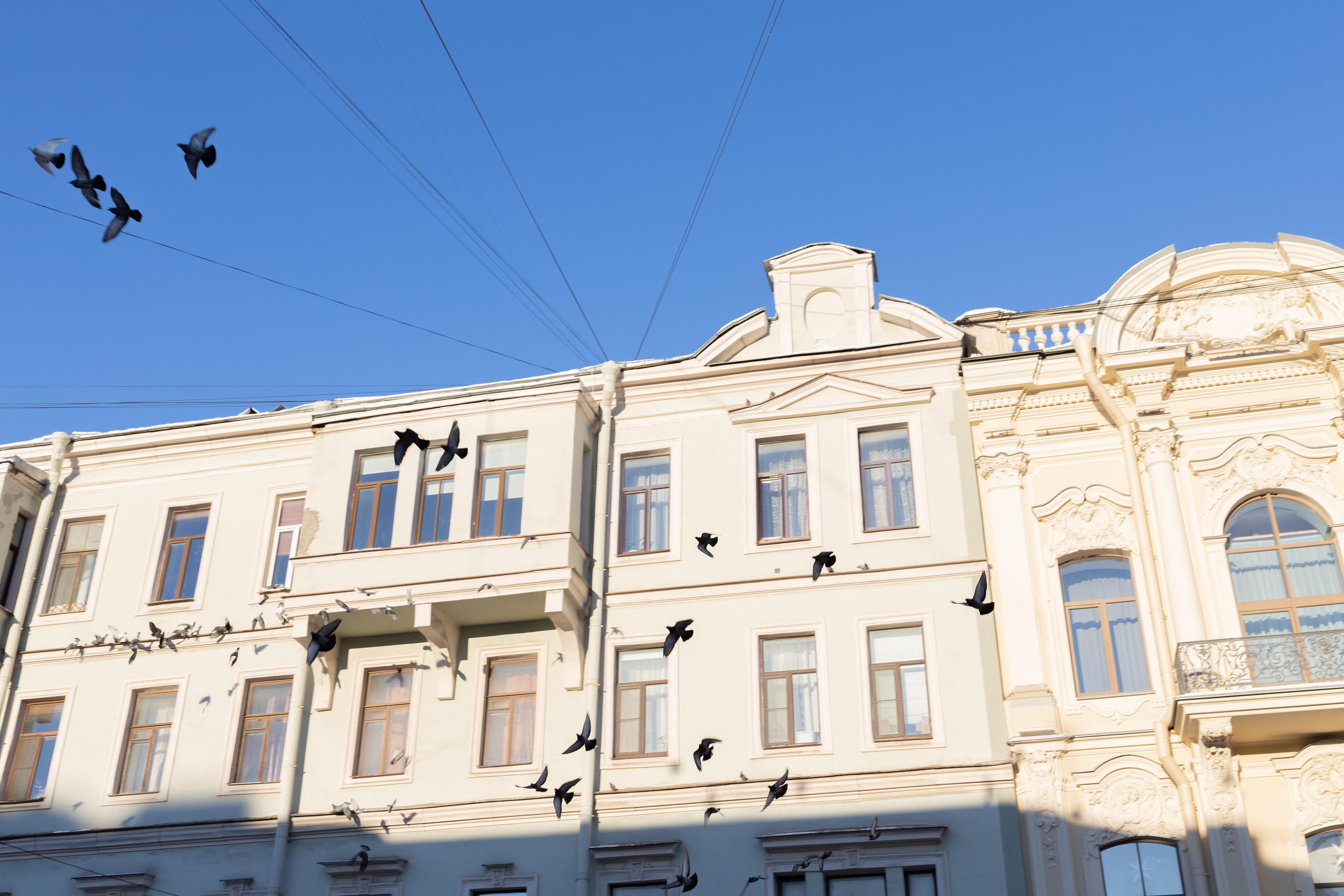 Street. Documentary photographer Anton Zdanovich