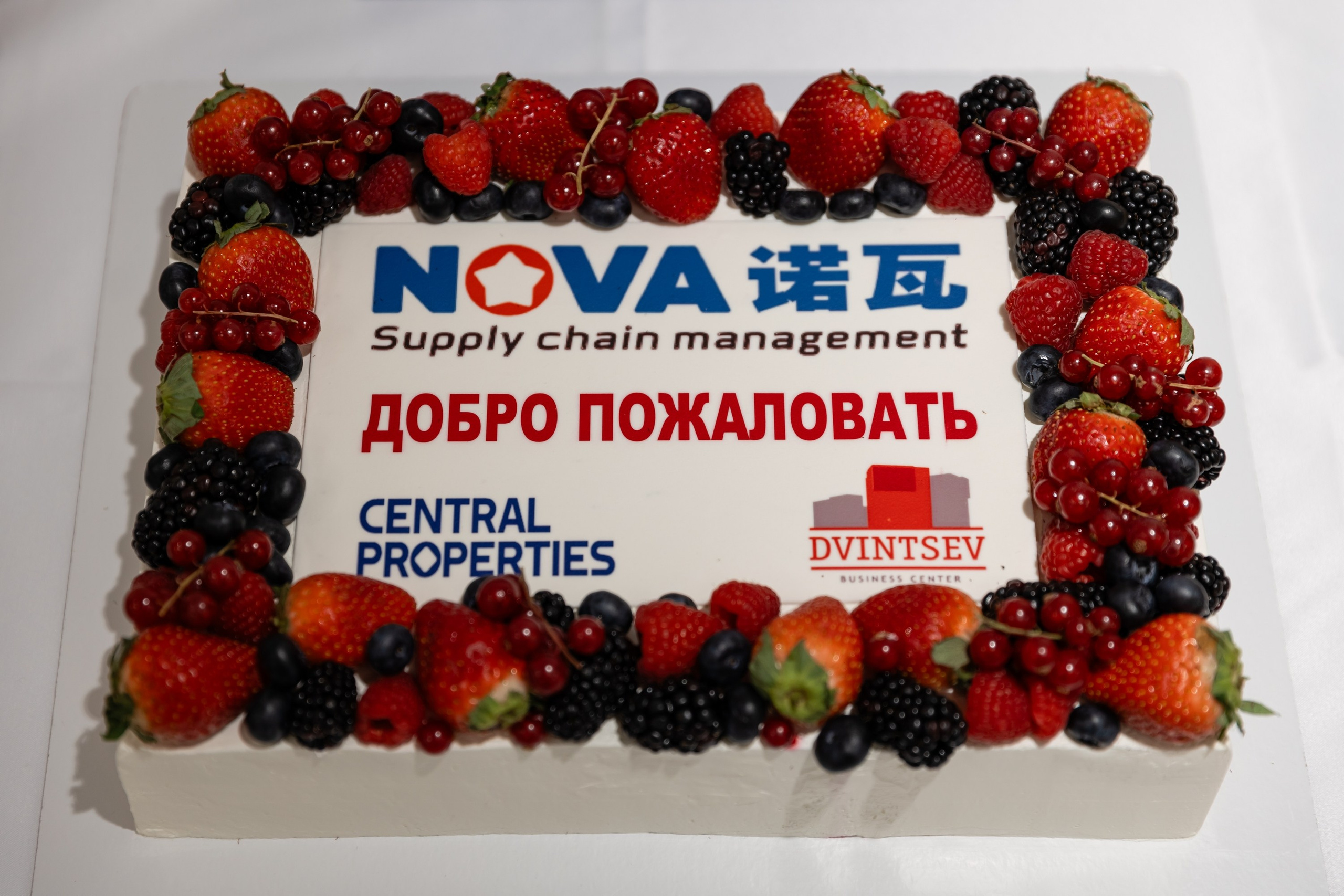 NOVA конференция. Свадебный фотограф Москва