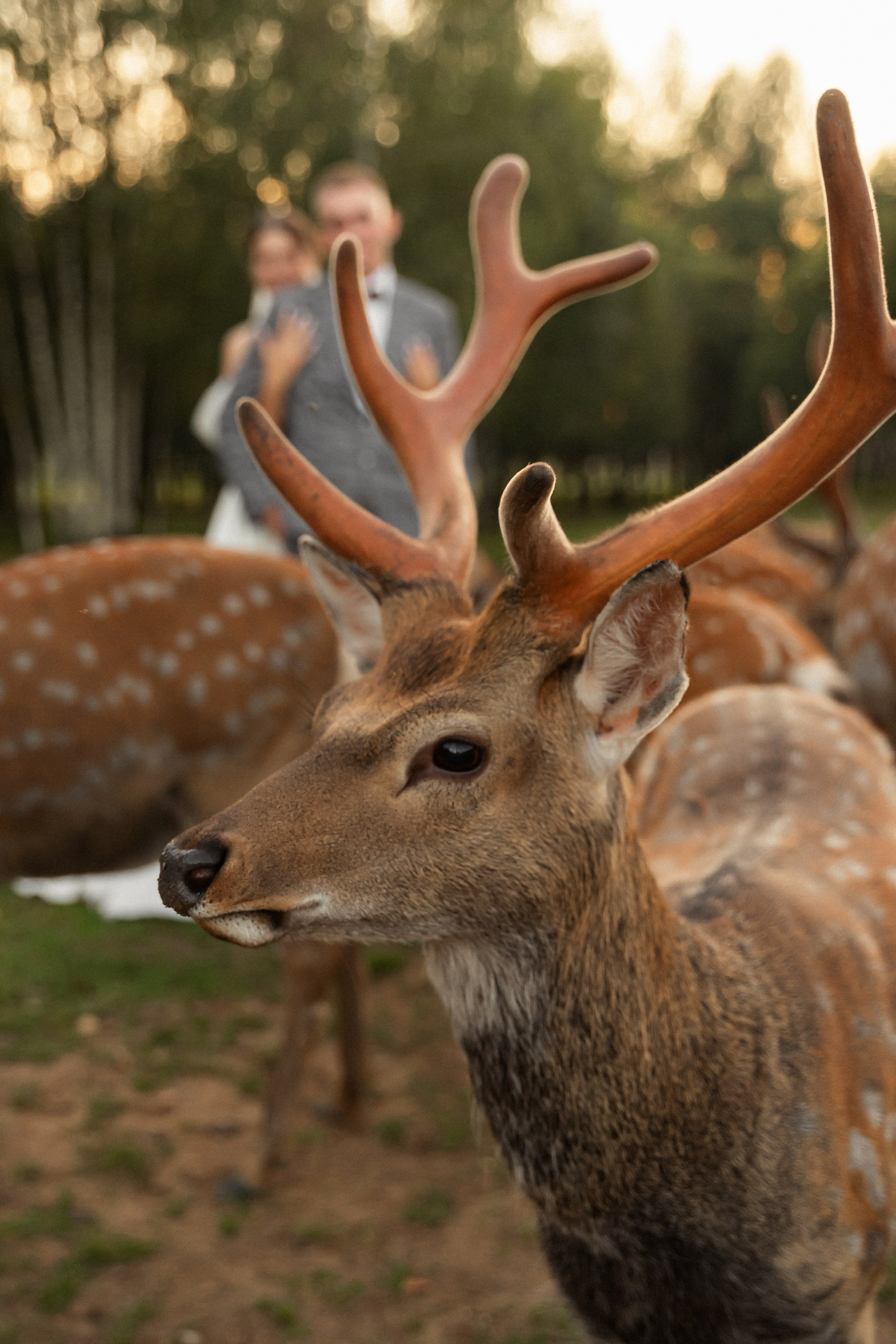 Алина и Сергей. Фотограф Алина Филимонова Тверь