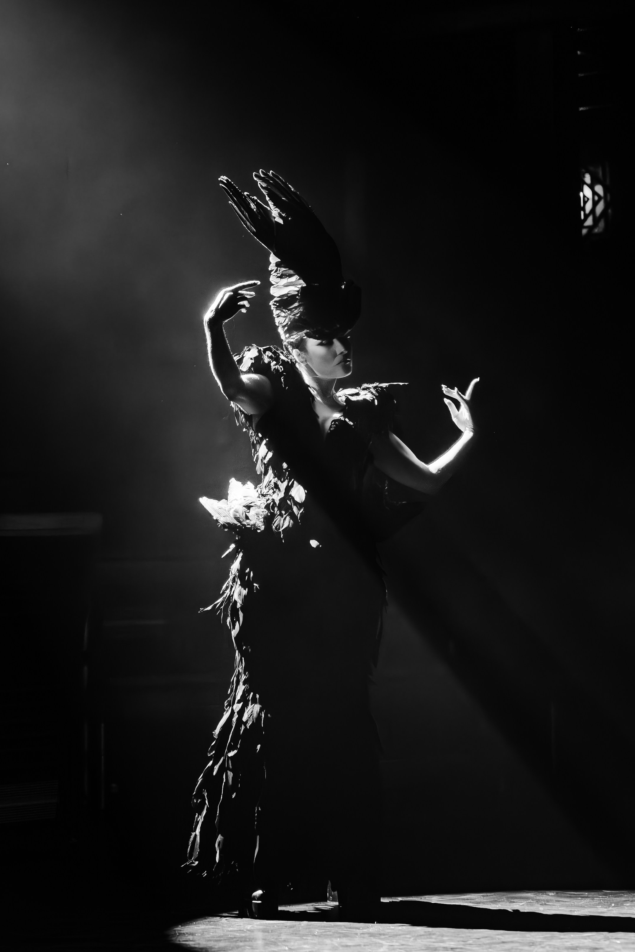 Репортаж. Daryashevchenko.com