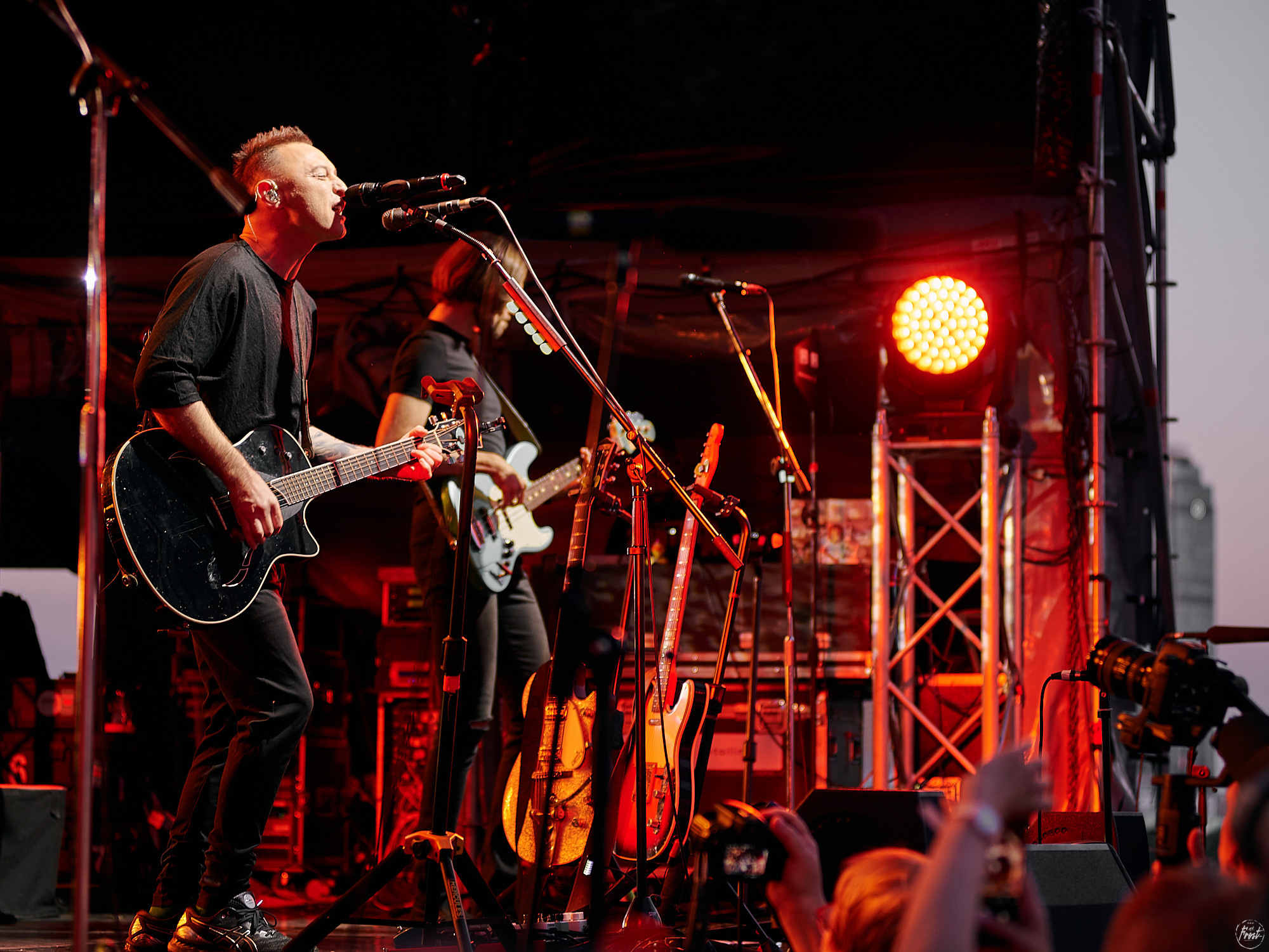 ЗВЕРИ. Фотографии отовсюду и обо всем