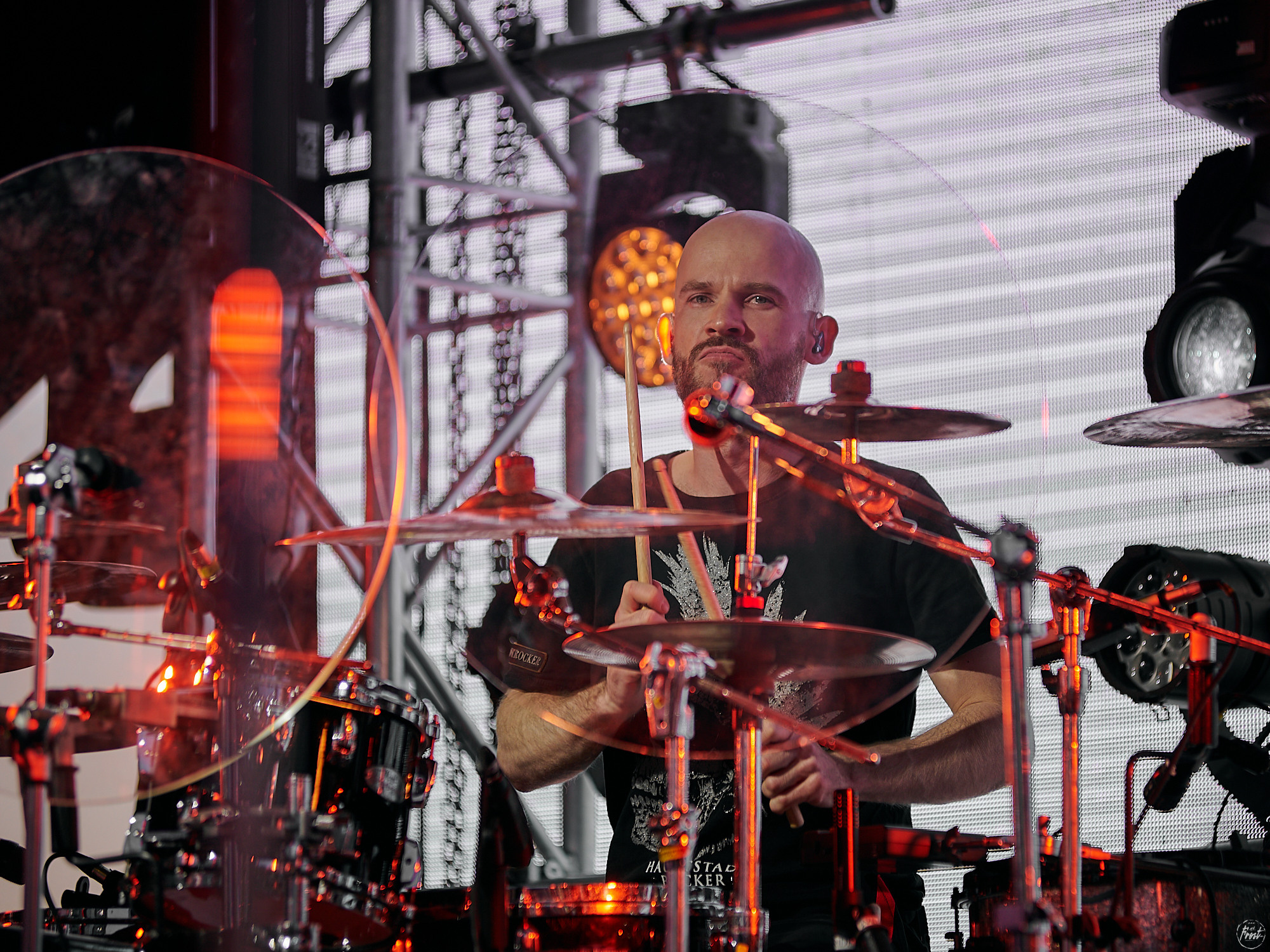 ЗВЕРИ. Фотографии отовсюду и обо всем