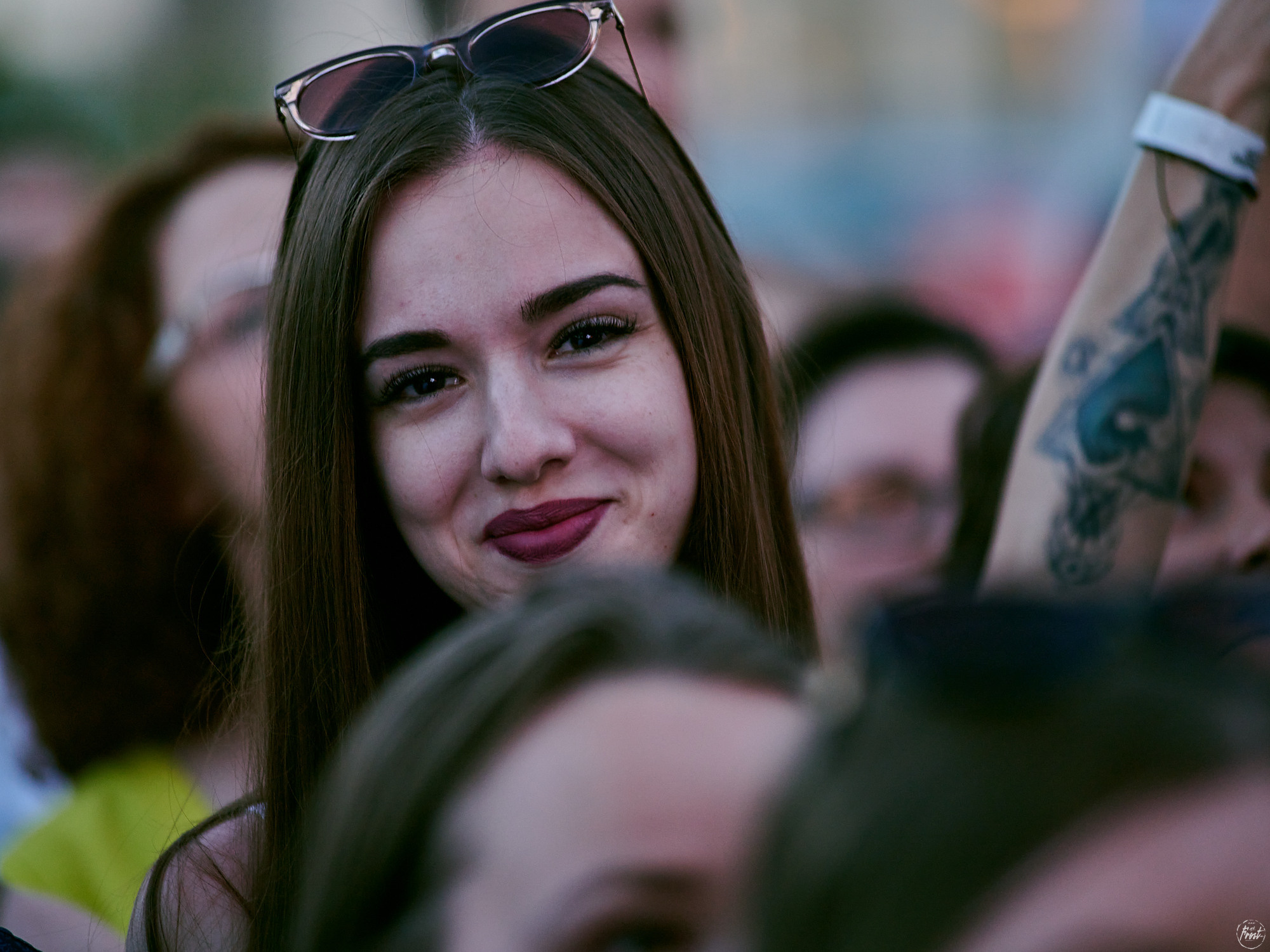 ЗВЕРИ. Фотографии отовсюду и обо всем