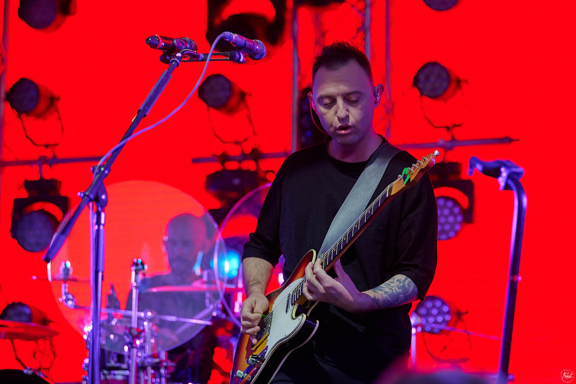 ЗВЕРИ. Фотографии отовсюду и обо всем