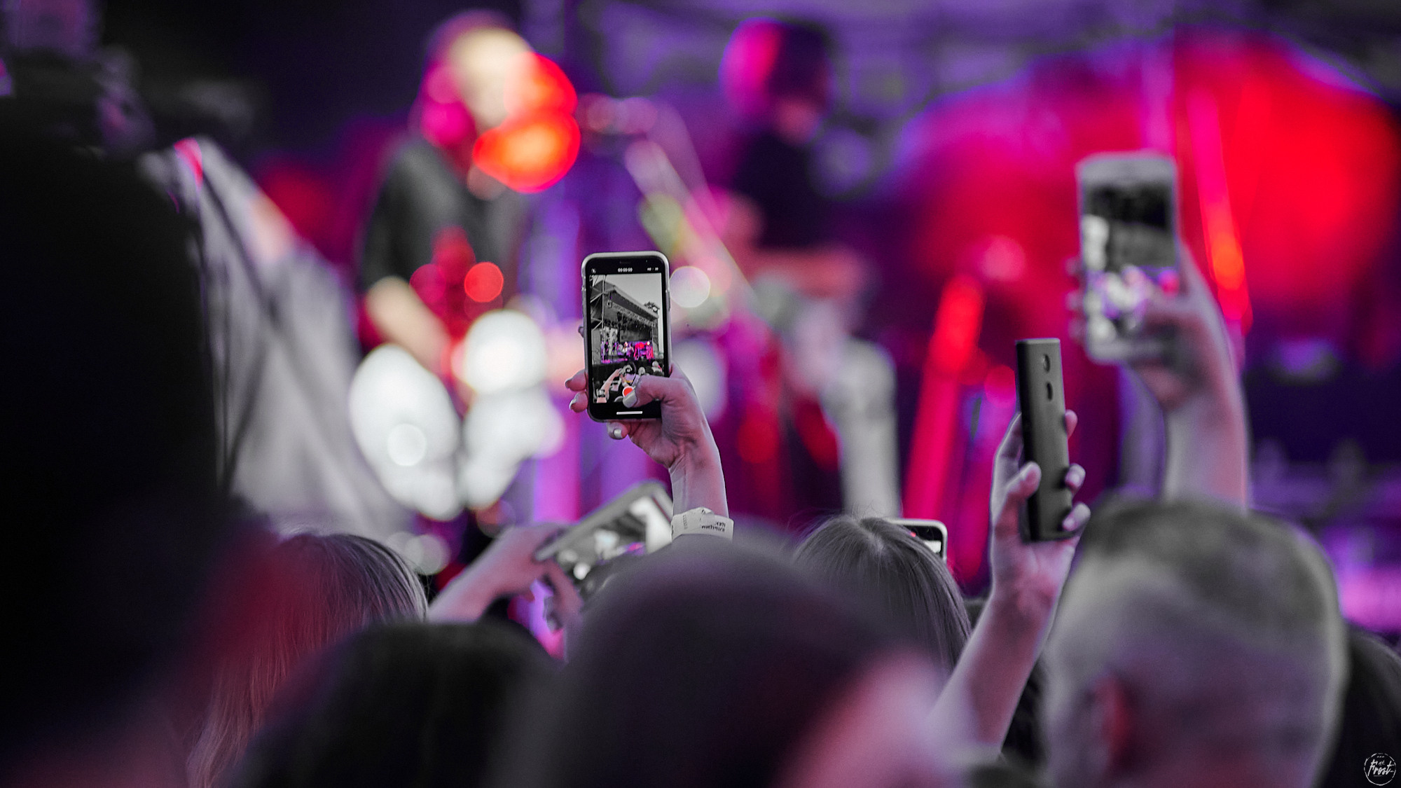 ЗВЕРИ. Фотографии отовсюду и обо всем