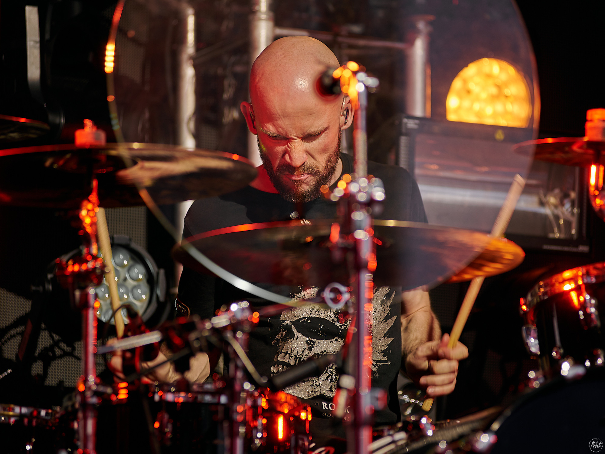 ЗВЕРИ. Фотографии отовсюду и обо всем