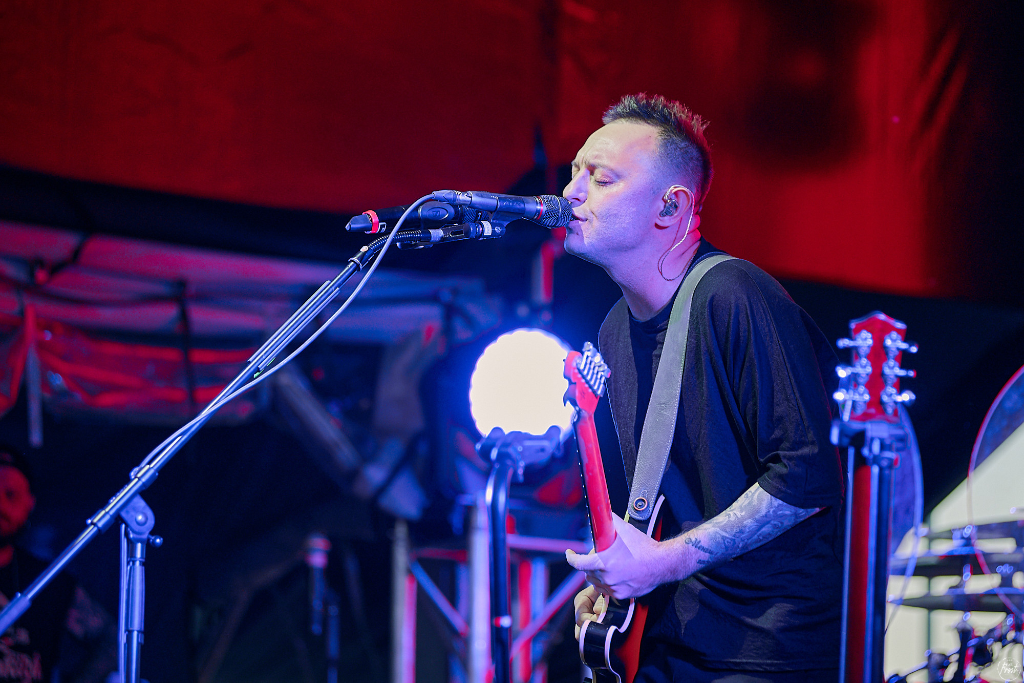 ЗВЕРИ. Фотографии отовсюду и обо всем