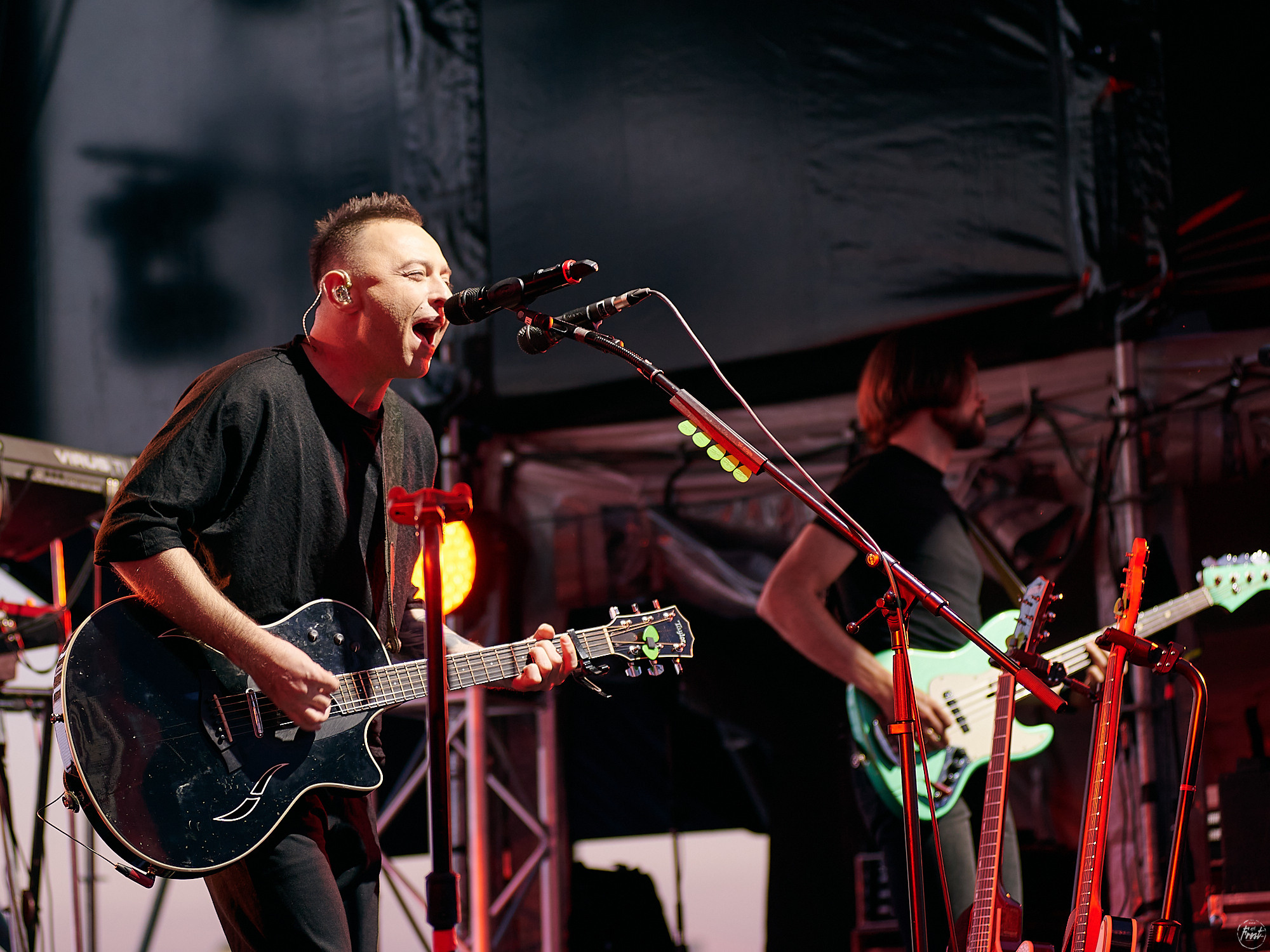 ЗВЕРИ. Фотографии отовсюду и обо всем