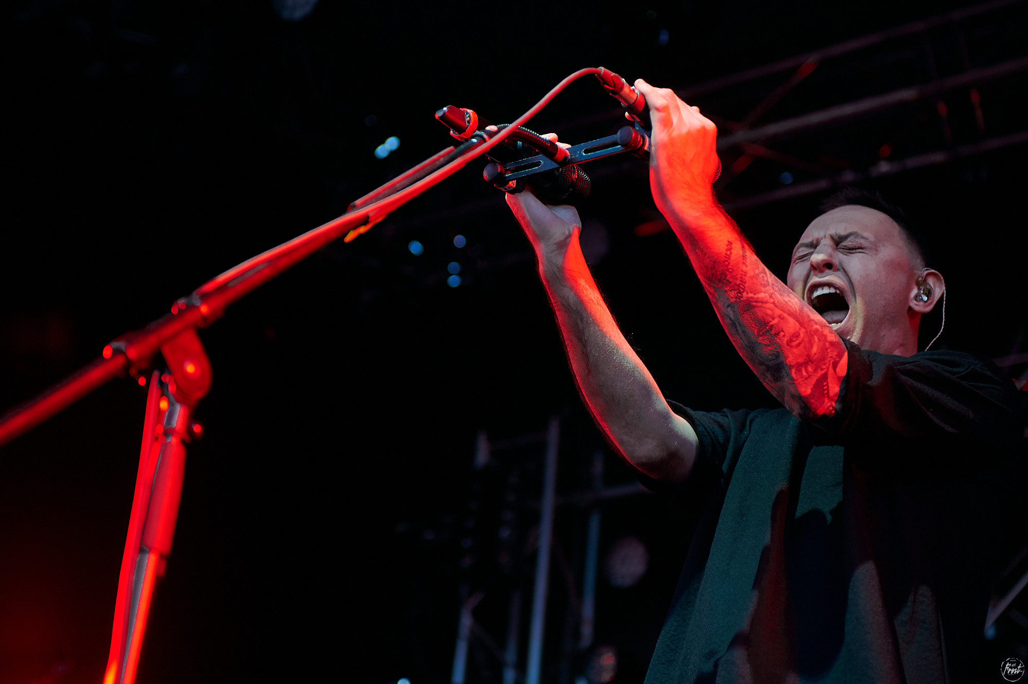 ЗВЕРИ. Фотографии отовсюду и обо всем