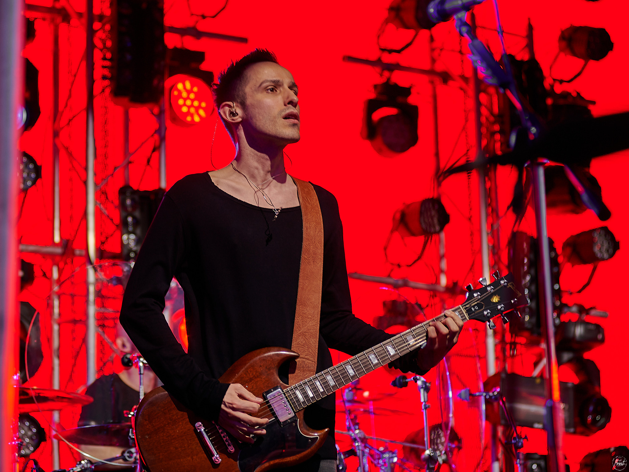 ЗВЕРИ. Фотографии отовсюду и обо всем