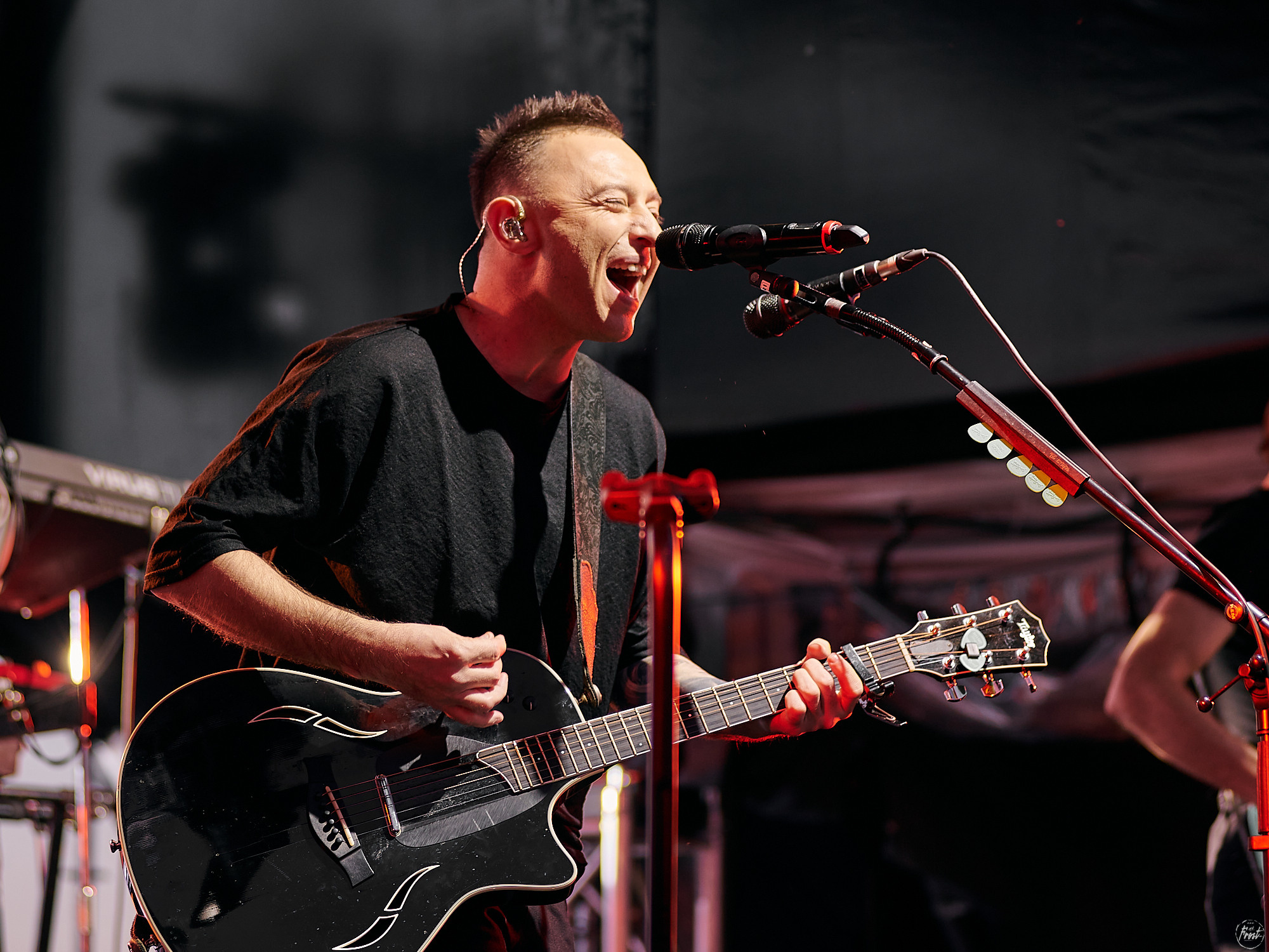 ЗВЕРИ. Фотографии отовсюду и обо всем