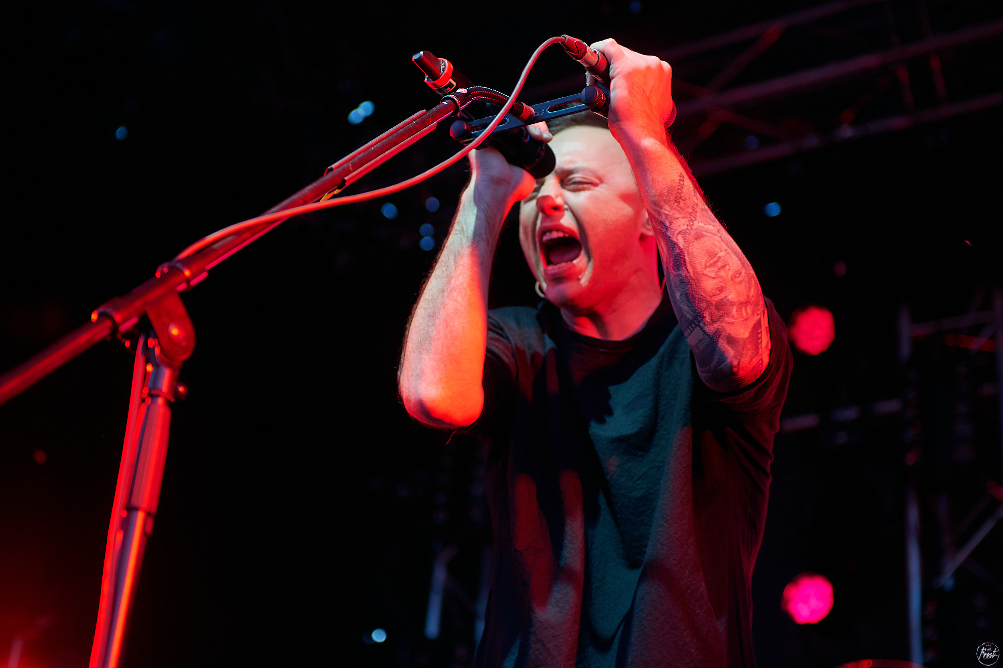 ЗВЕРИ. Фотографии отовсюду и обо всем