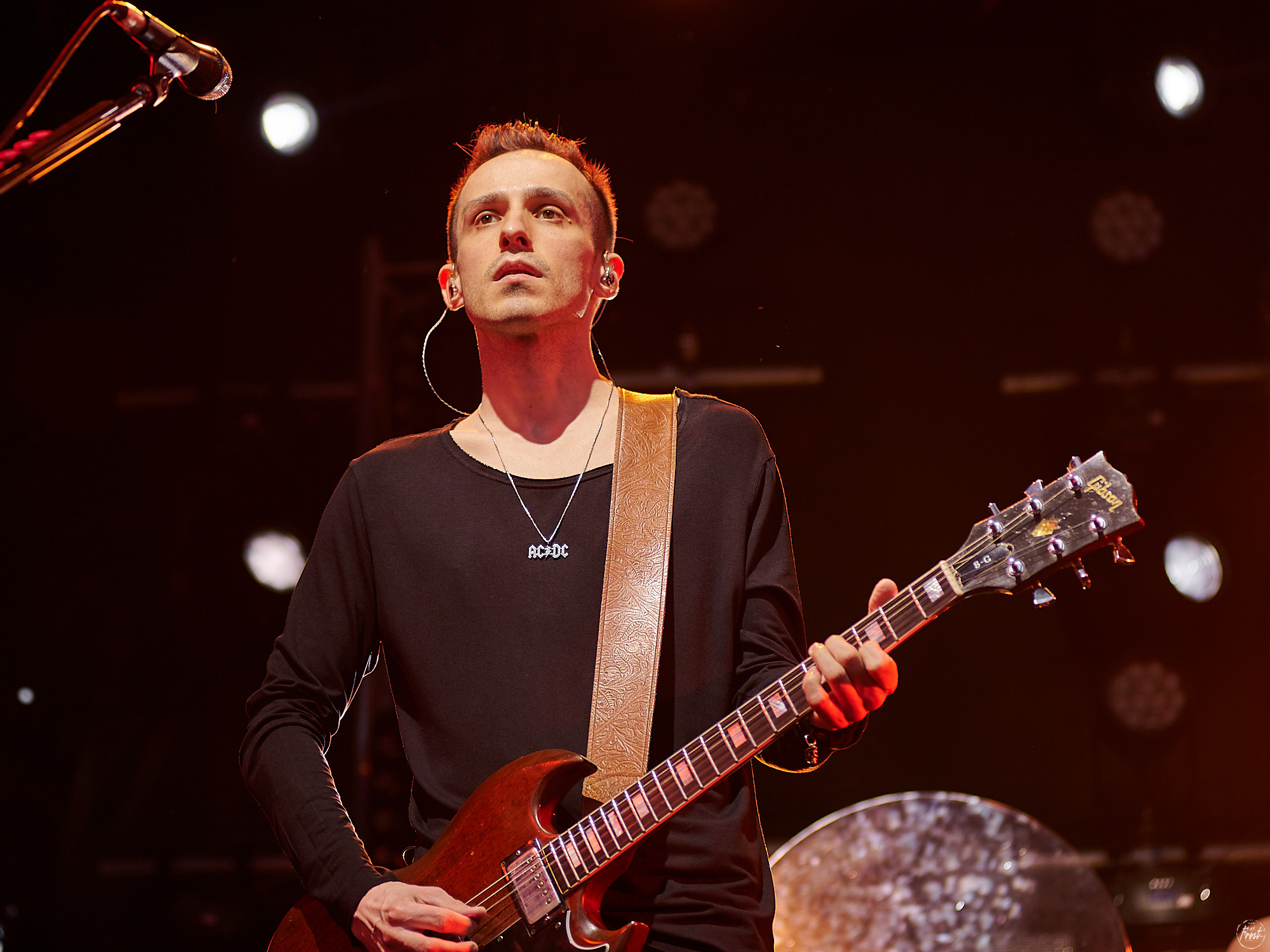 ЗВЕРИ. Фотографии отовсюду и обо всем