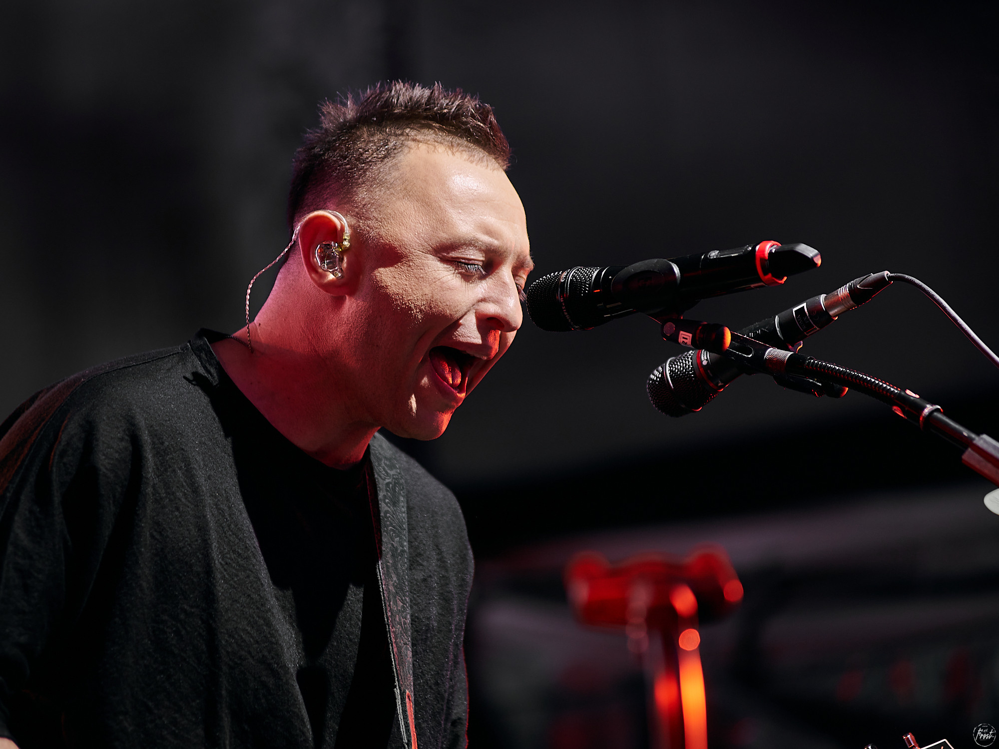 ЗВЕРИ. Фотографии отовсюду и обо всем