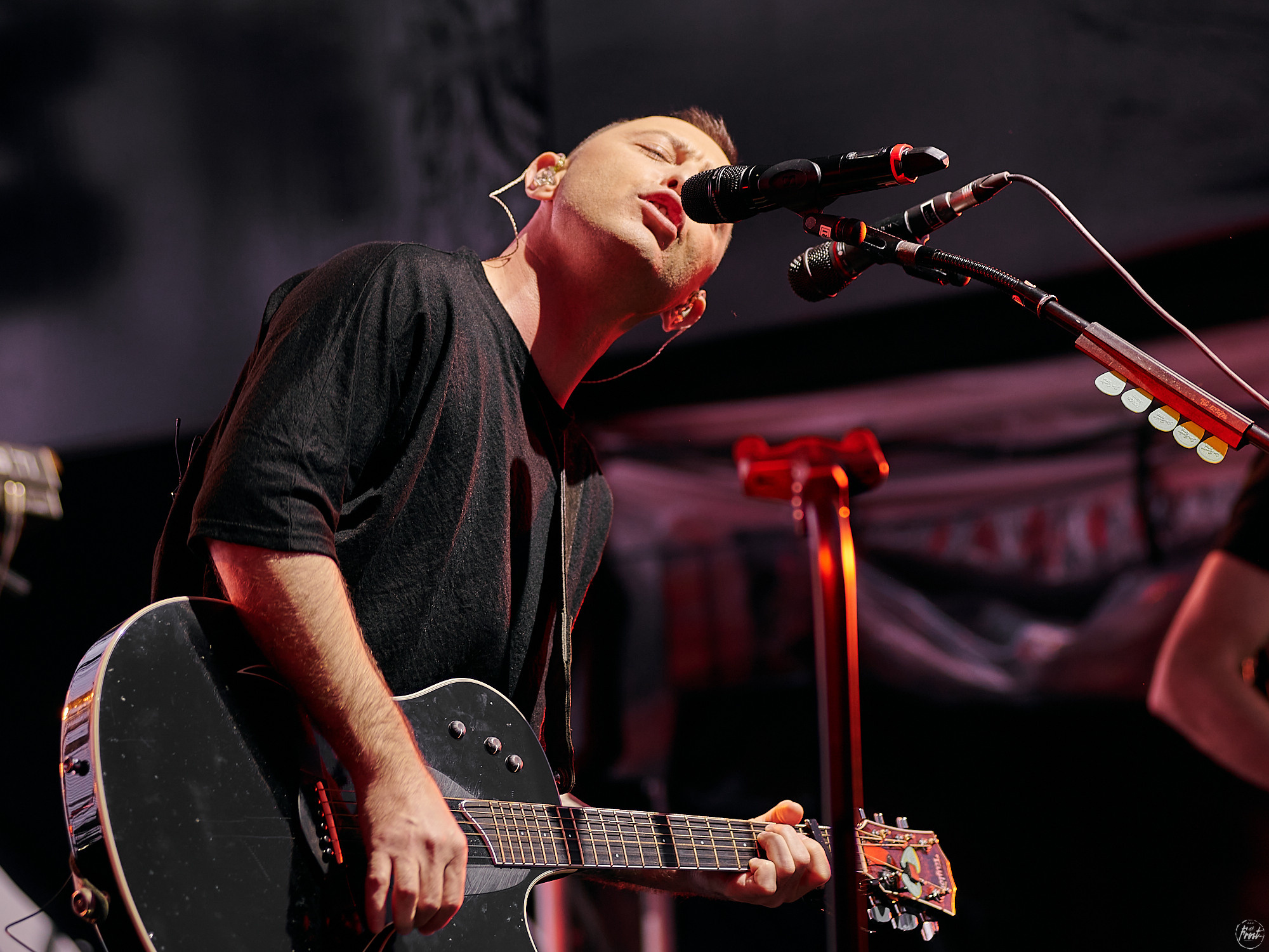 ЗВЕРИ. Фотографии отовсюду и обо всем