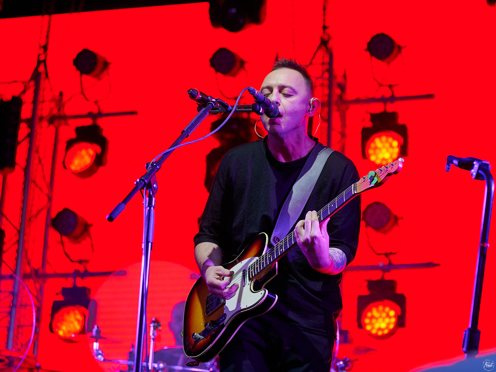 ЗВЕРИ. Фотографии отовсюду и обо всем