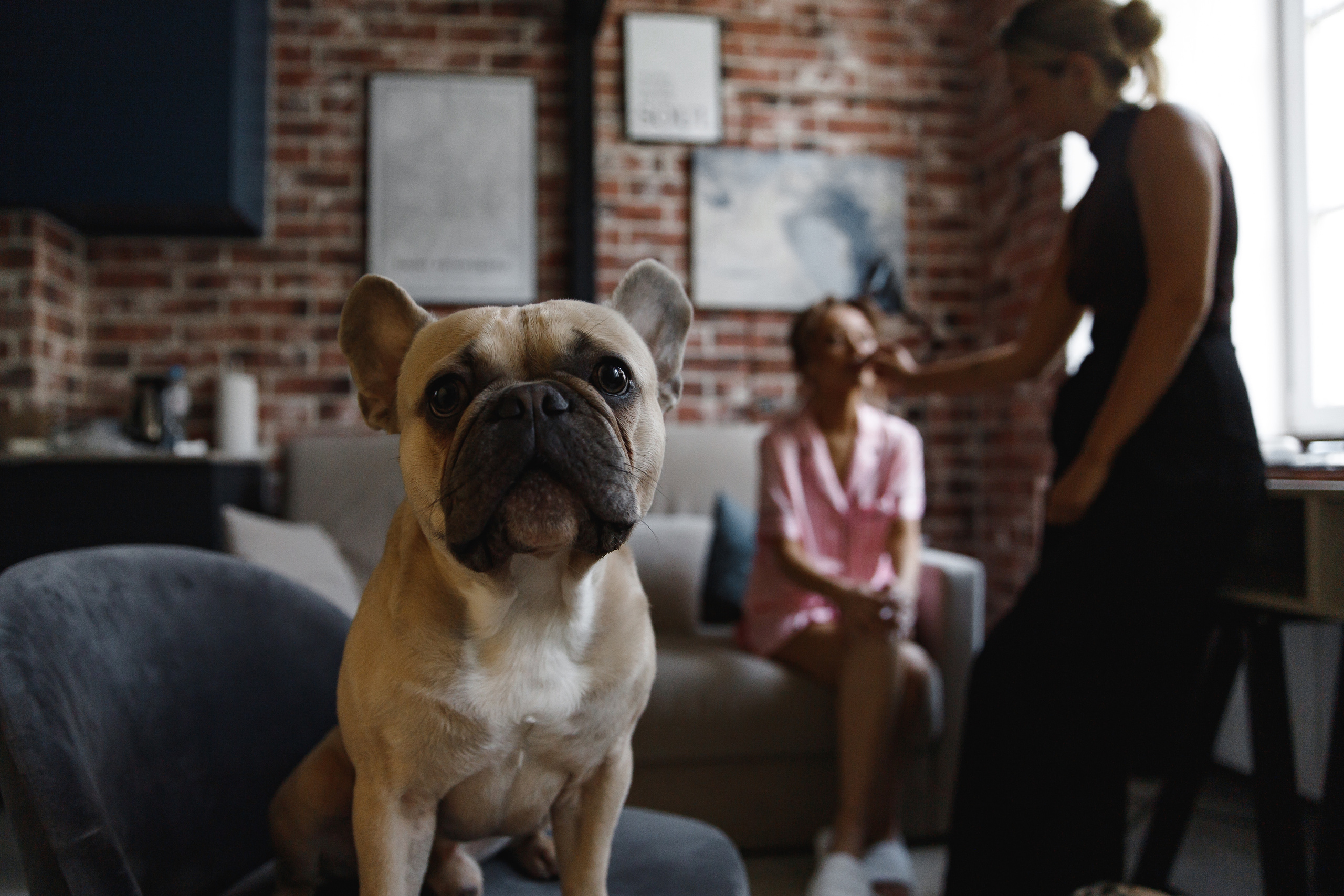 Давид и Настя, Санкт-Петербург. Свадебный фотограф в Санкт-Петербурге, Москве, Европе и по всему миру
