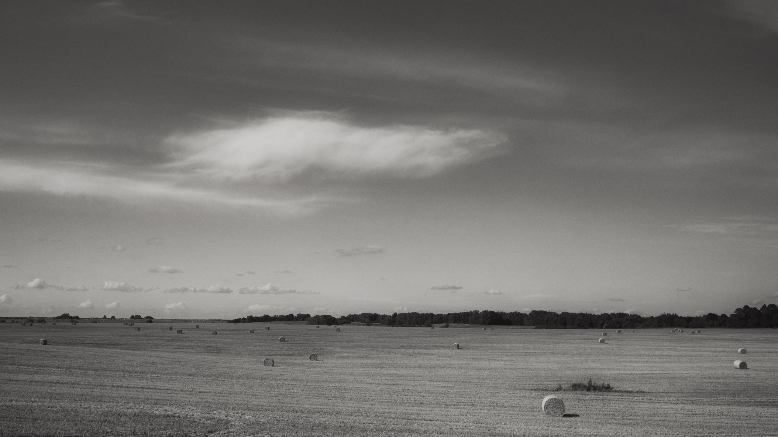 Landscapes and city. Photographer in Kaliningrad