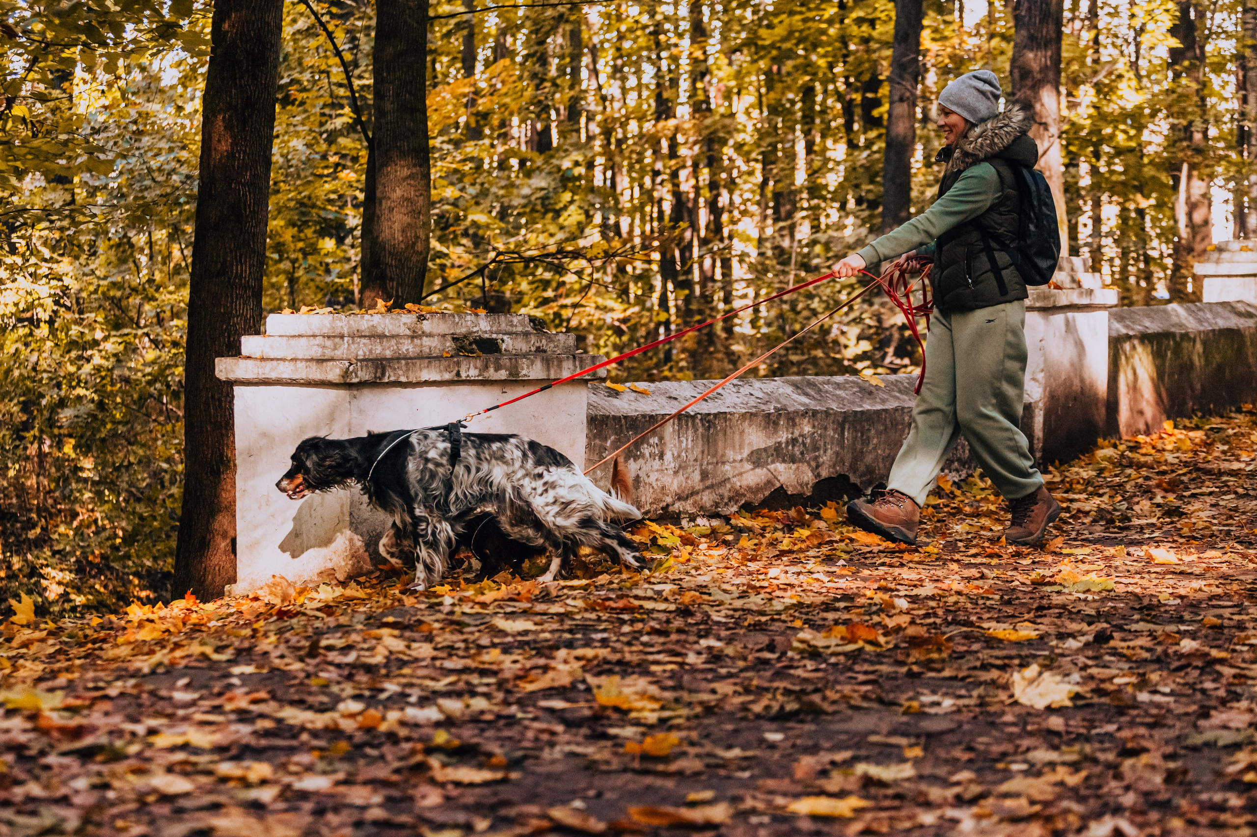 Света, Хайди, Богдана. Фотограф-анималист Татьяна Степанова