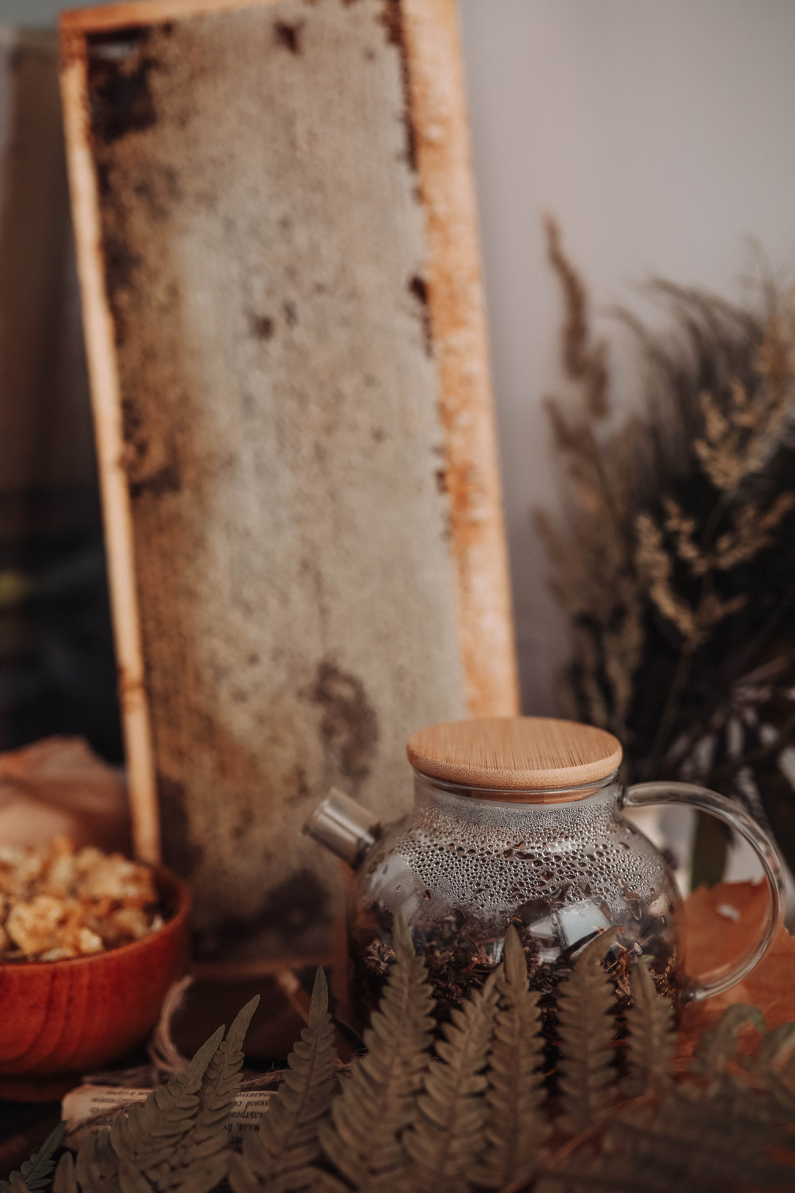 Мед. Фотограф  Ксения Евдокова. Дзержинск, Нижний, Москва, Питер