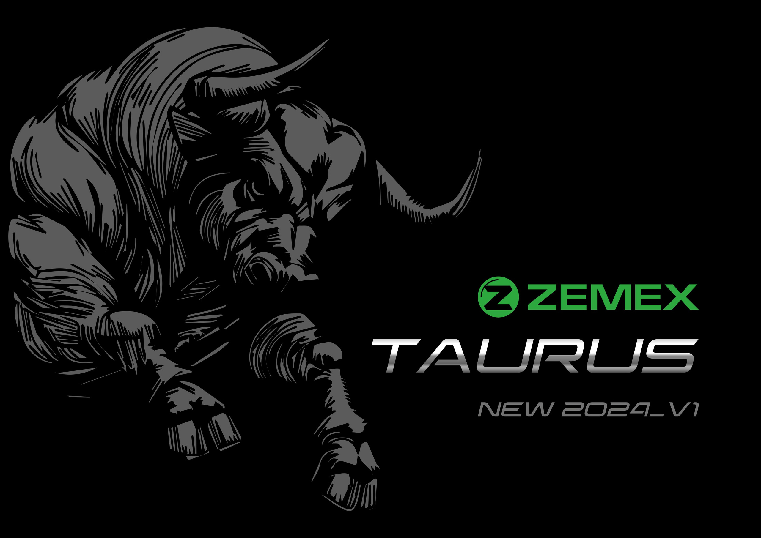 Презентация ZEMEX. MoshaDesign