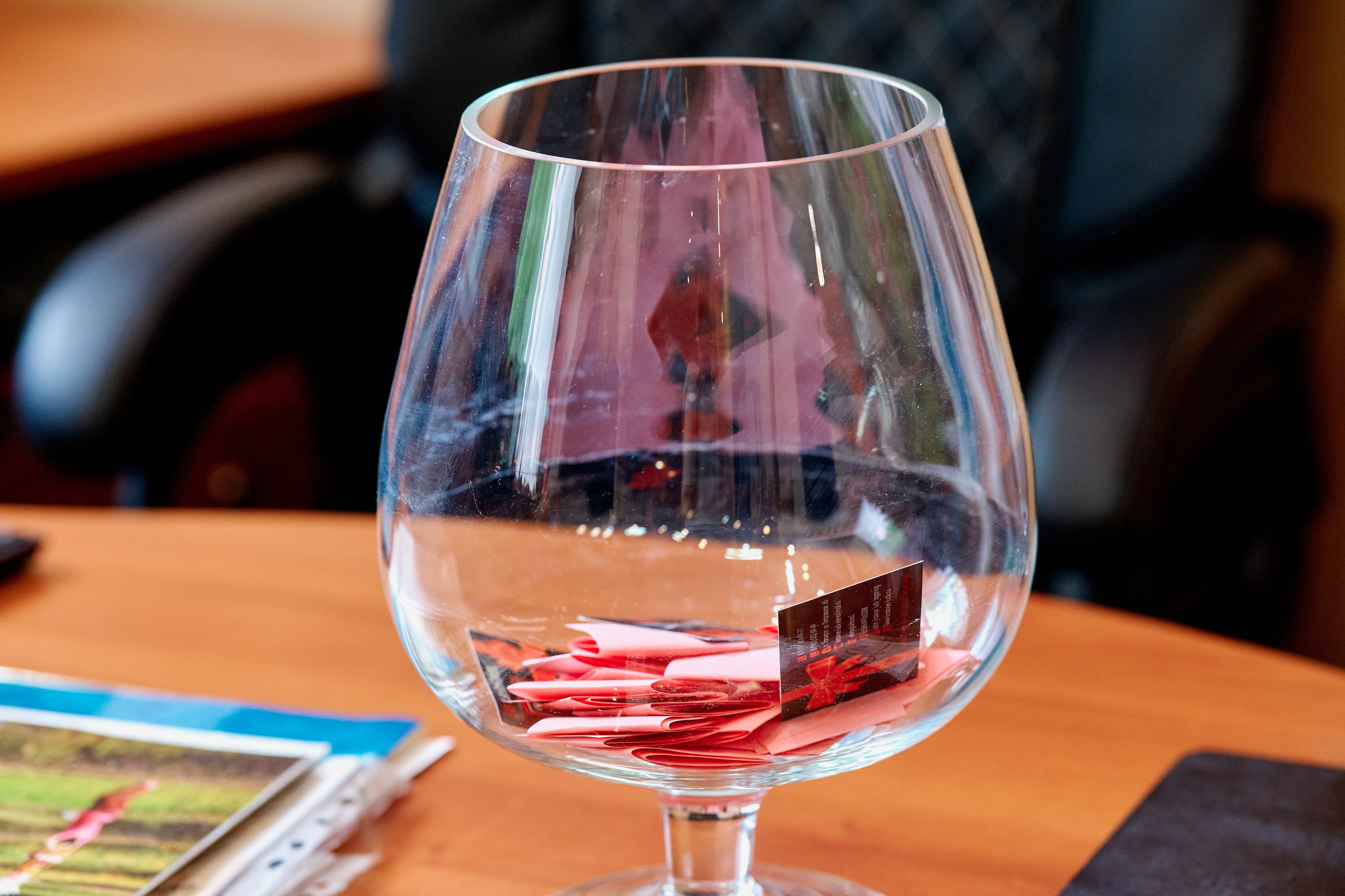 Открытие туристической компании «Розовый слон». Фотограф Таганрог Анна Трайжон