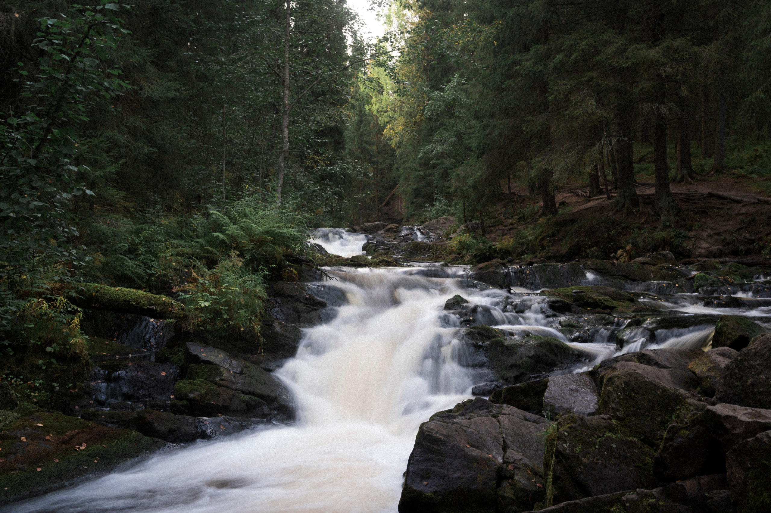 North 2024. Kartascheff