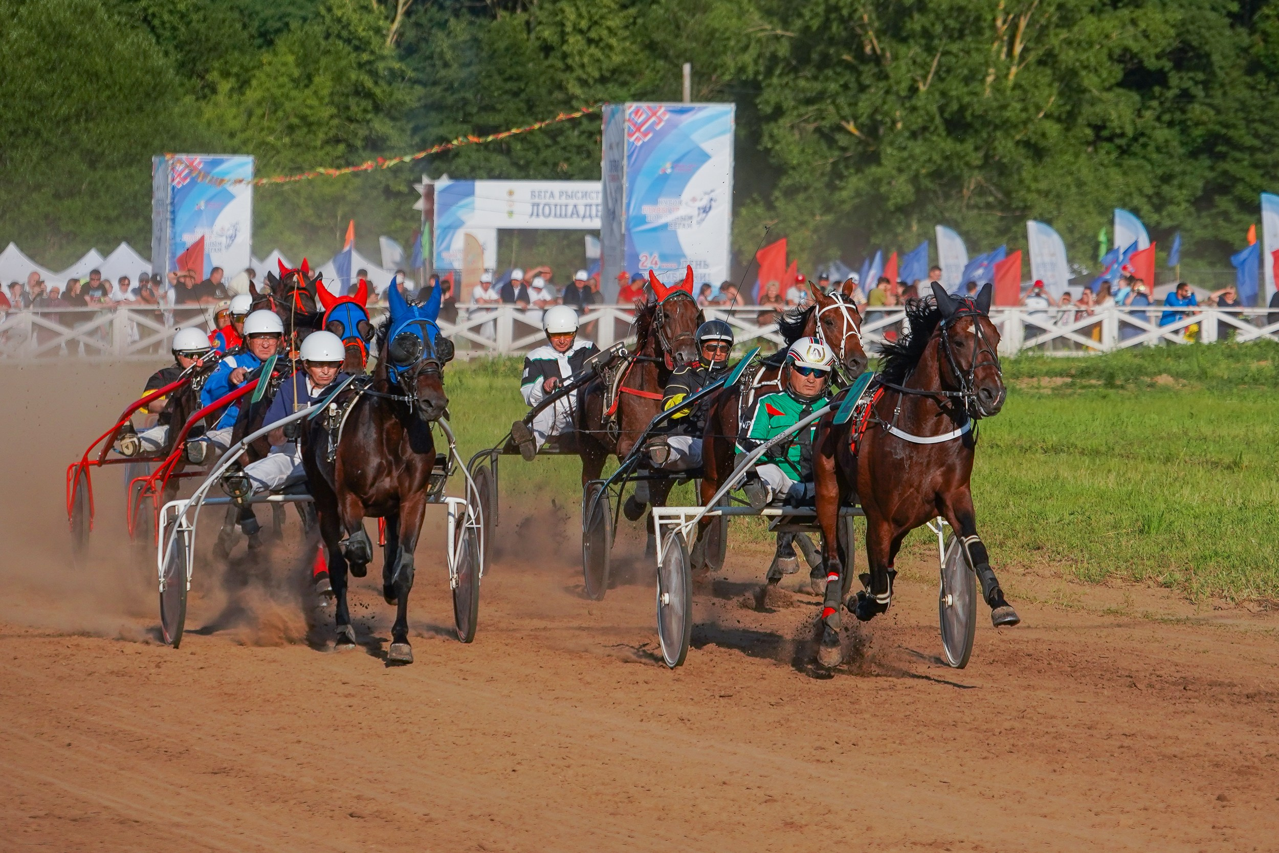 III конные бега на Кубок Главы Чувашии. Фотограф-анималист, портретный фотограф в Чебоксарах Мария Садыкова
