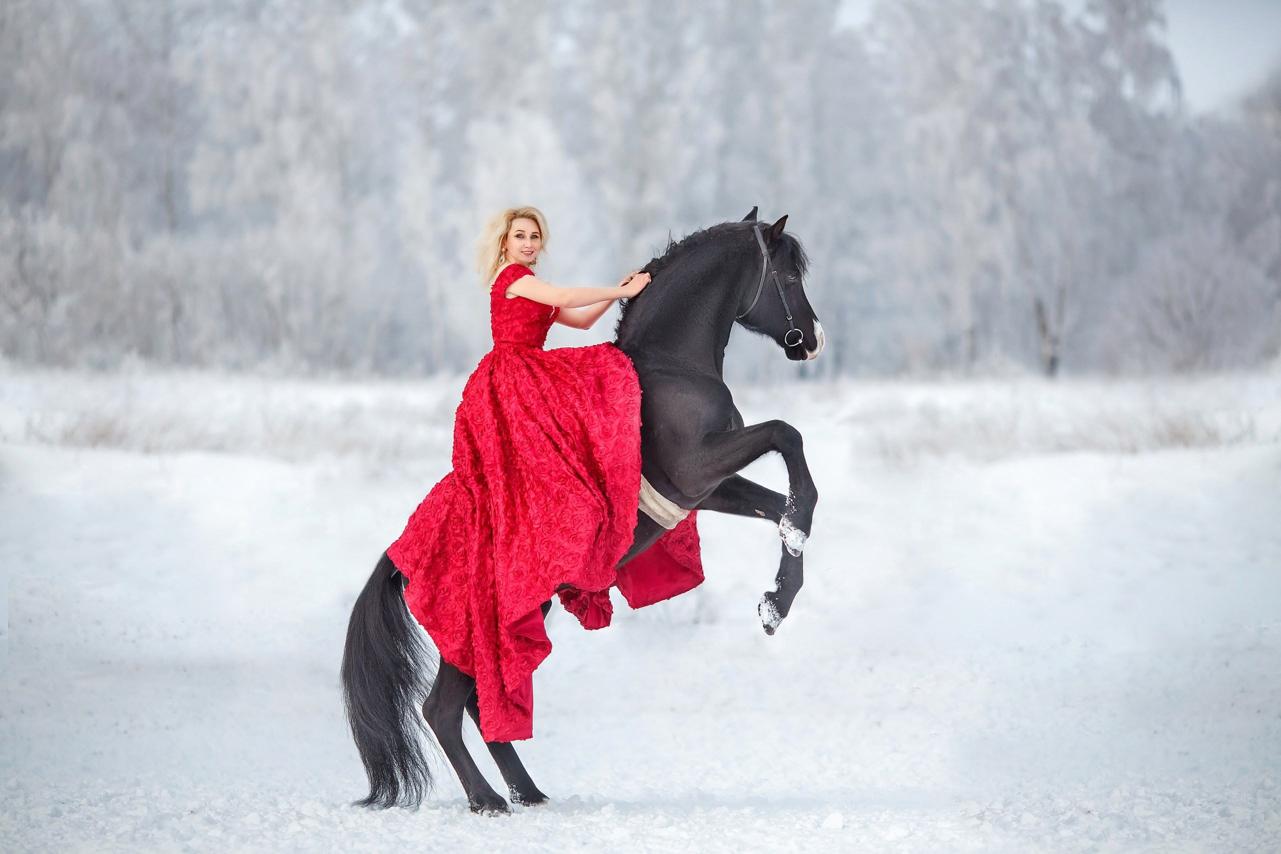 С конем. Сказочный фотограф фотопроекты фототуры в Новосибирске и на Алтае