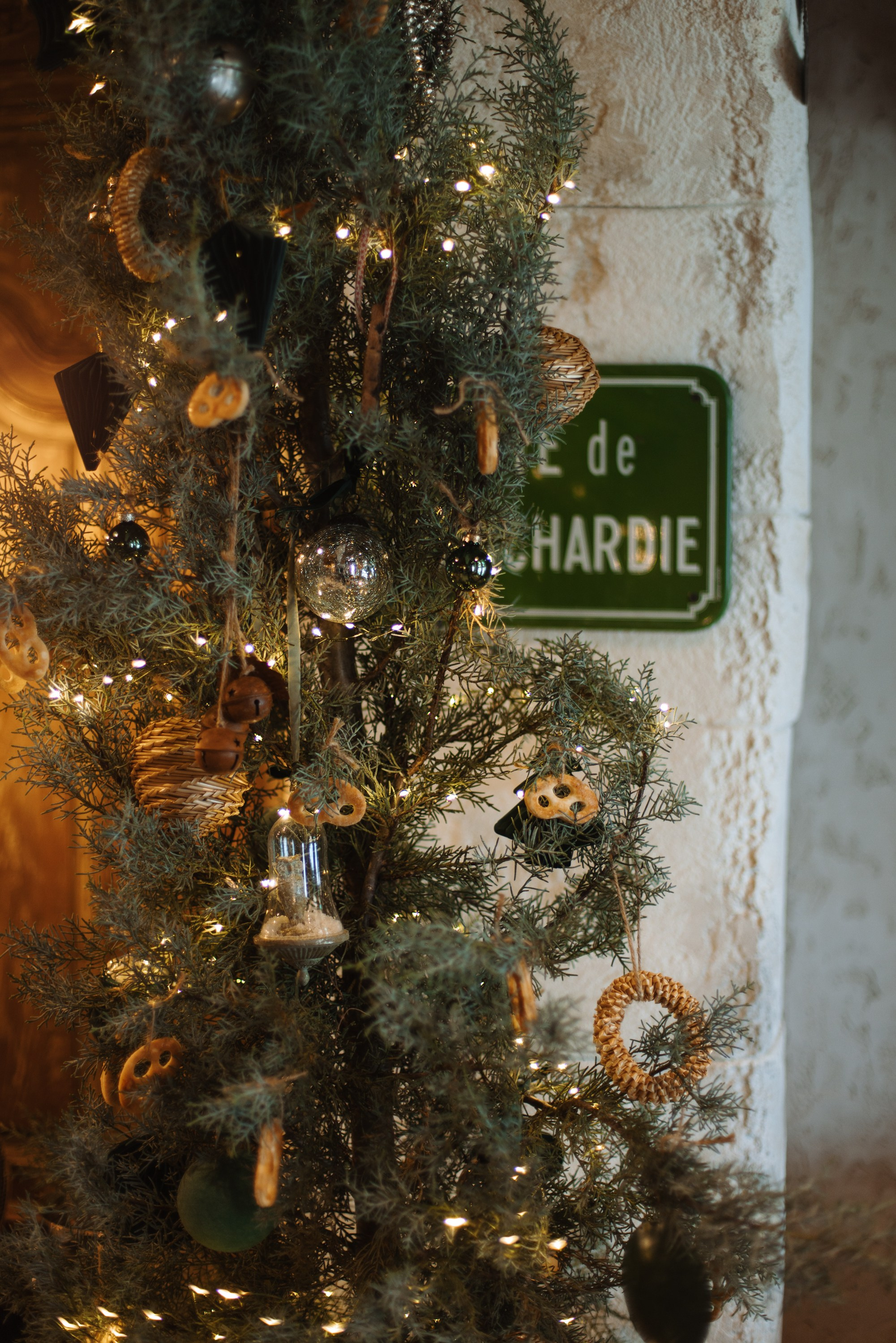 Adrian Bistro. Фотограф на Юге России