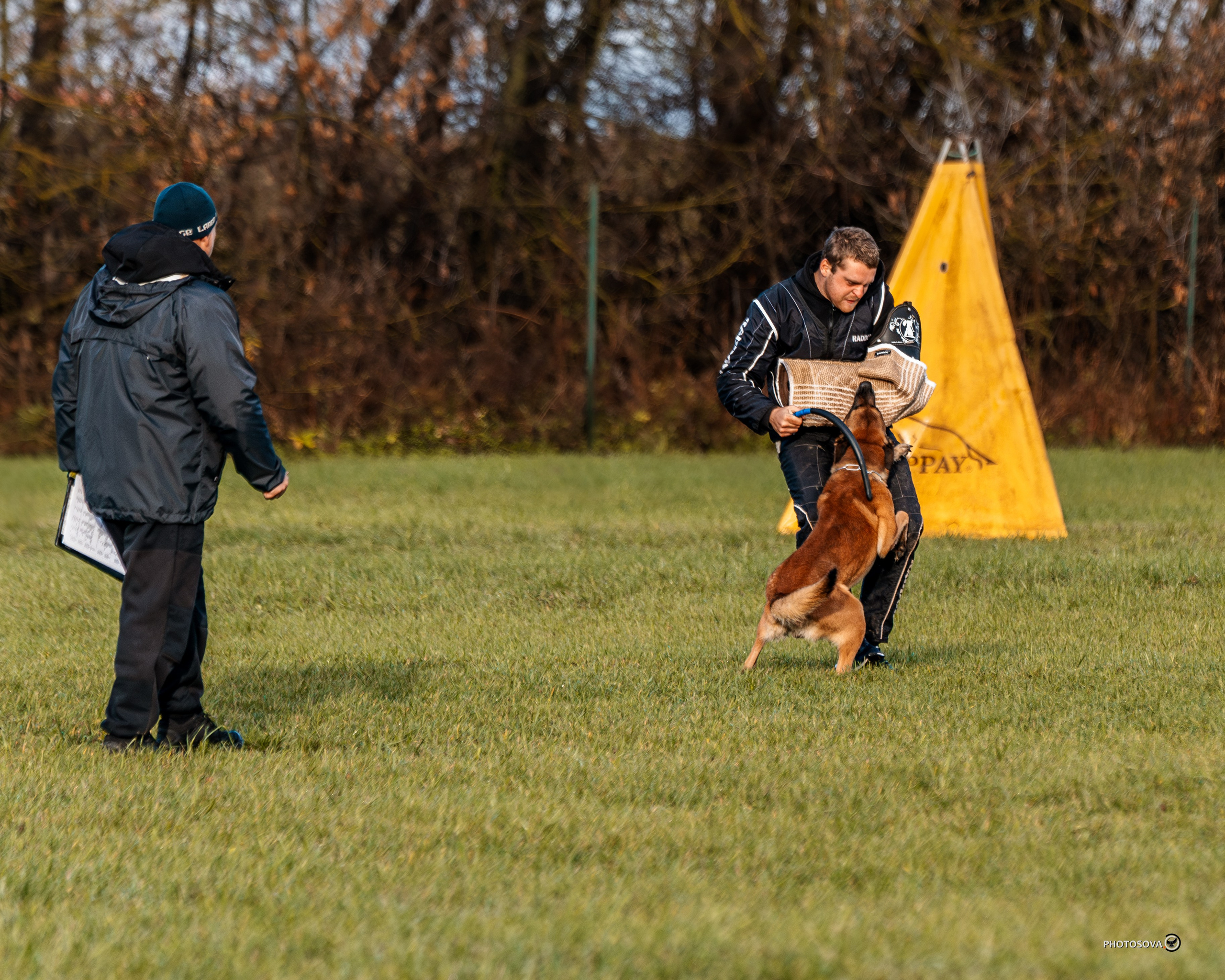 МЫ — КОМАНДА (соревнования) OKD, BH, IBGH, IGP. Фотограф-анималист, семейный фотограф в Москве и Подмосковье. Фотосъёмка кинологических дисциплин