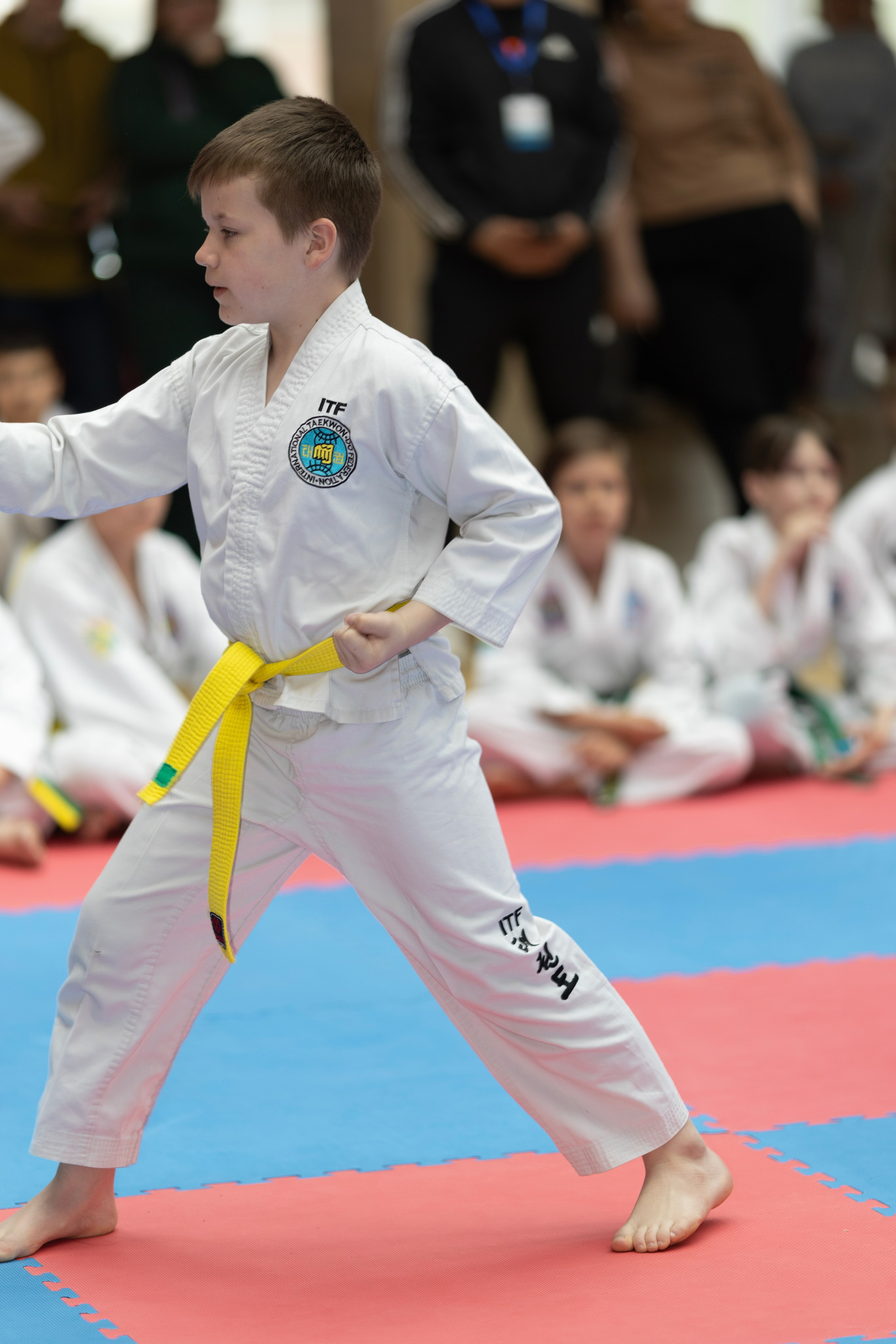 Фото турнира по Тхеквондо, проводимого в г. Железноводске. Медиапродюсер, фотограф в Минеральных Водах —Виктор Холодов