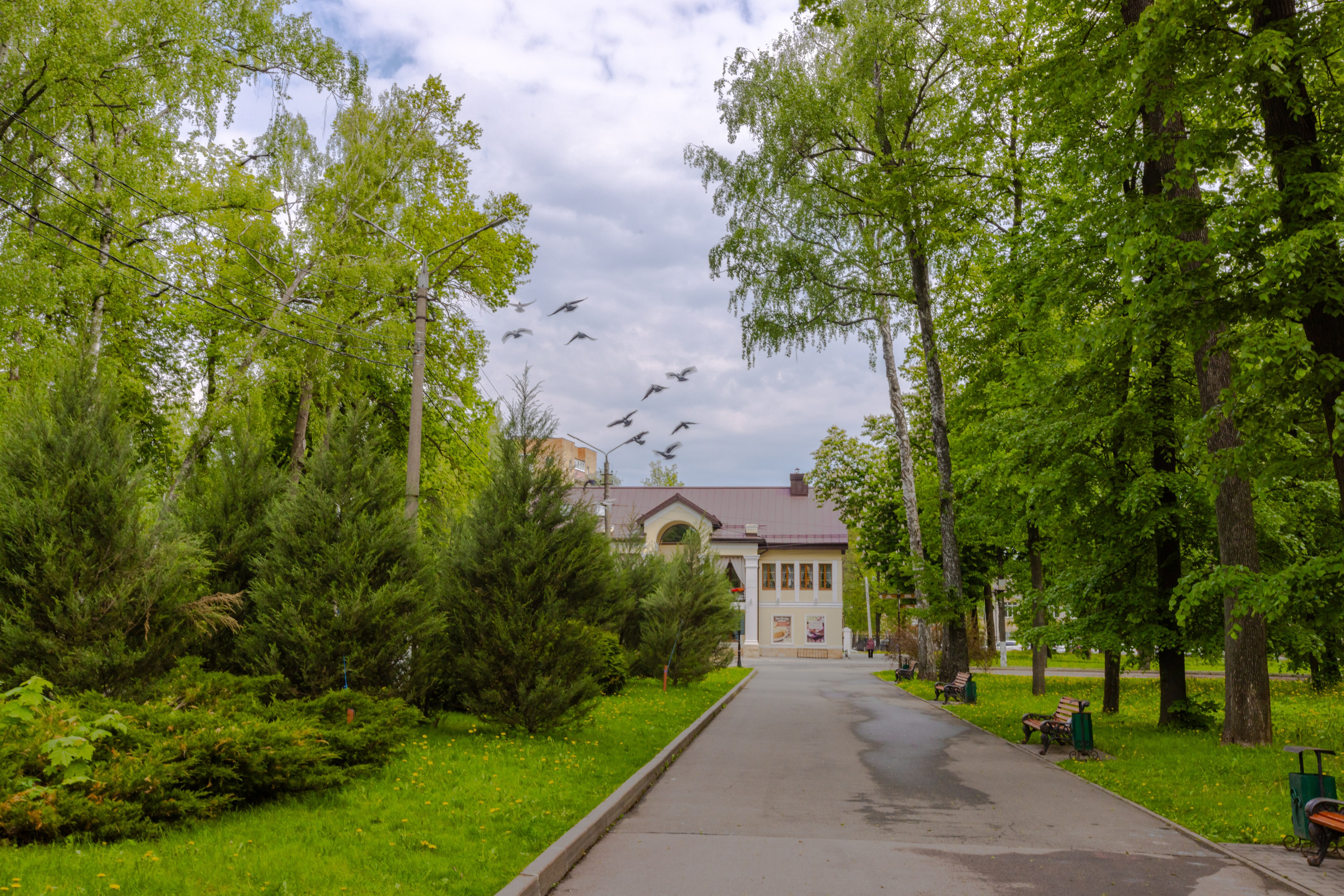 Парк им. П. П. Белоусова г. Тула 2024 г. Фотограф в Туле Крупский АнДРей. Фотостудия «КАДР71» в Туле