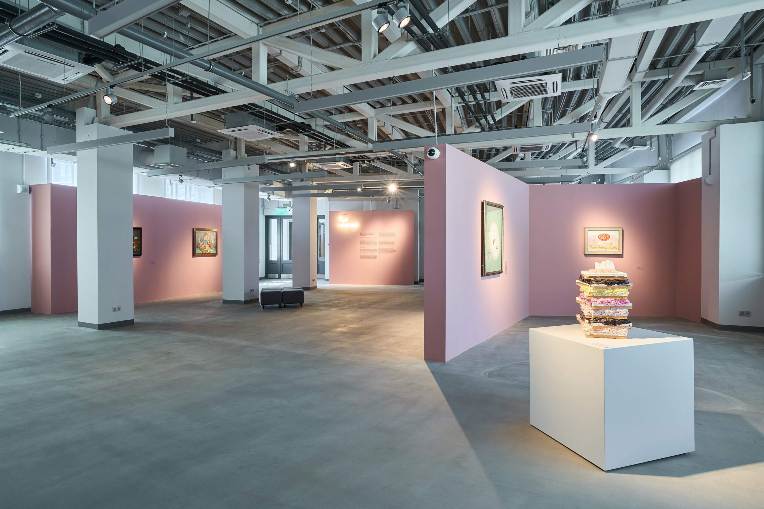 Открытие филиала Третьяковской Галереи. Фотограф Евгений Шаров