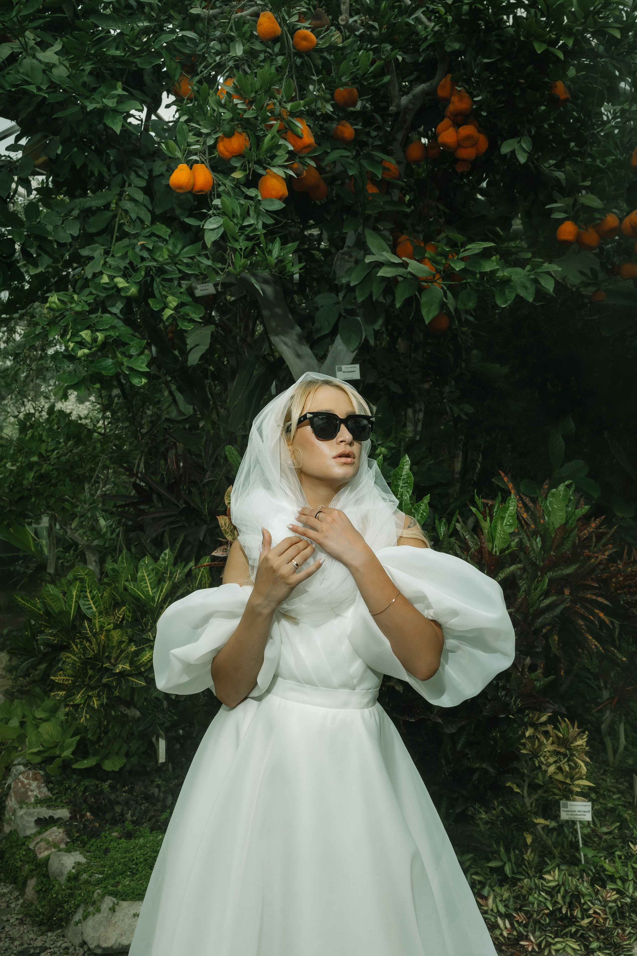 Свадебные фотографии. Фотограф Новосибирск Божуль Павел