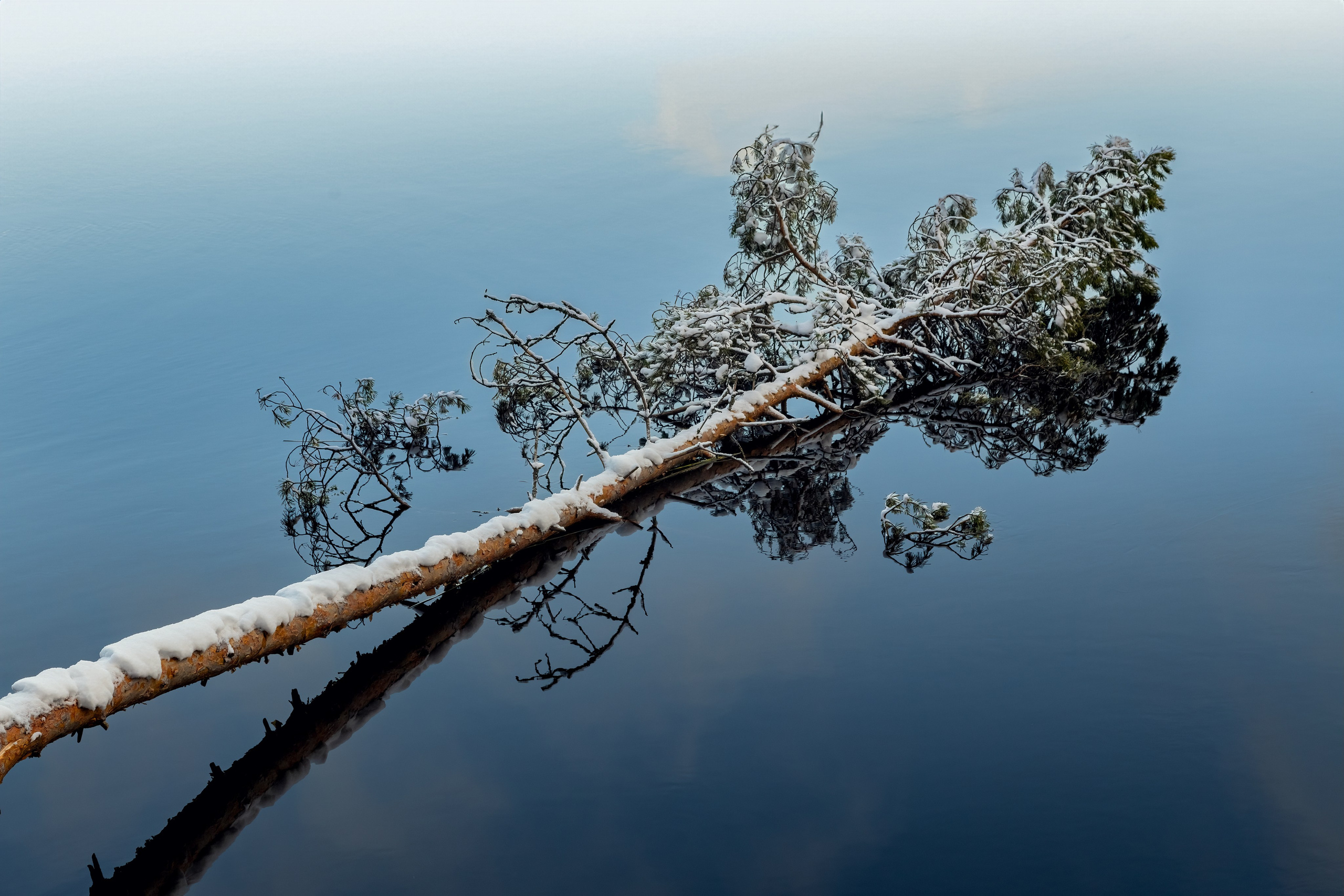 Природа Карелии. Аэросъемка. Фото и Видео в Карелии. Алексей Фрилунд