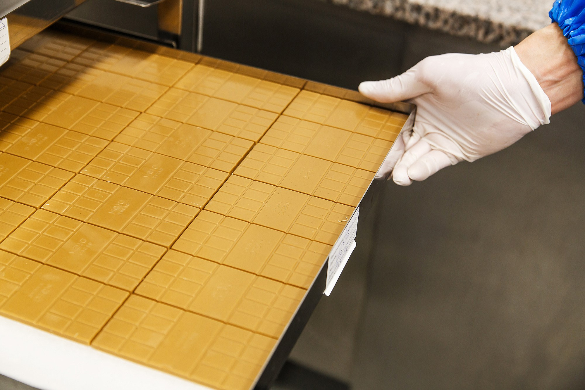 Mojo cacao. Фотограф Ксения Колесникова. Интерьерная и портретная съемка в Москве