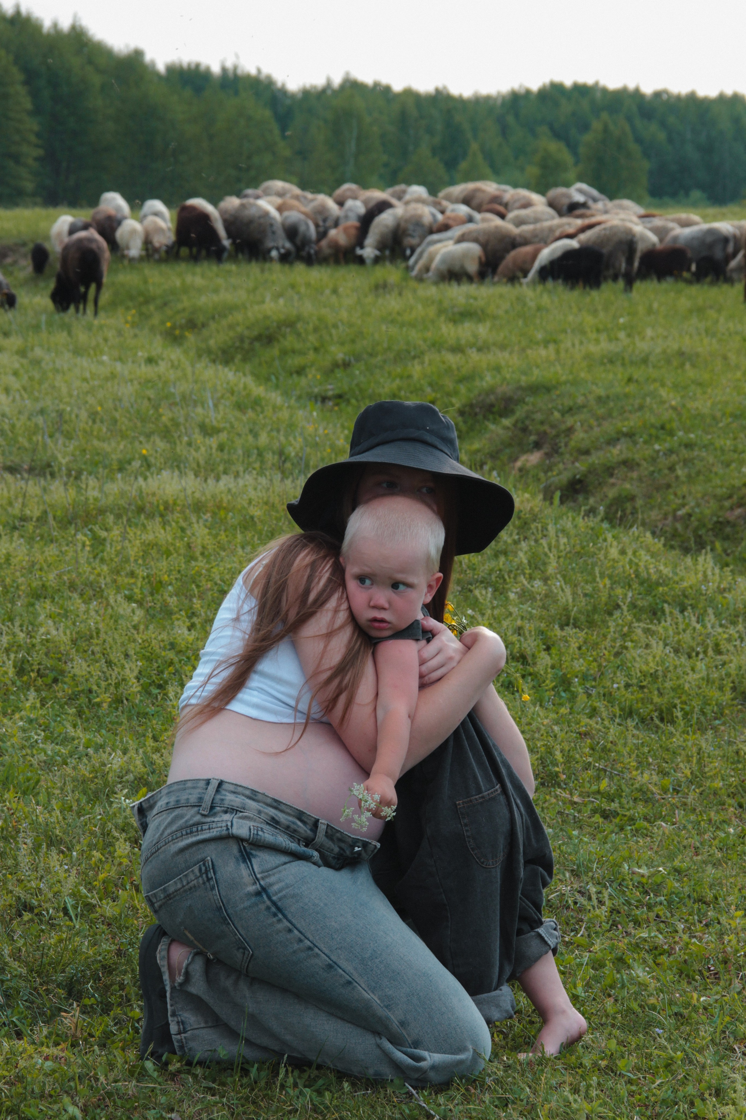 Farm photos. Главная
