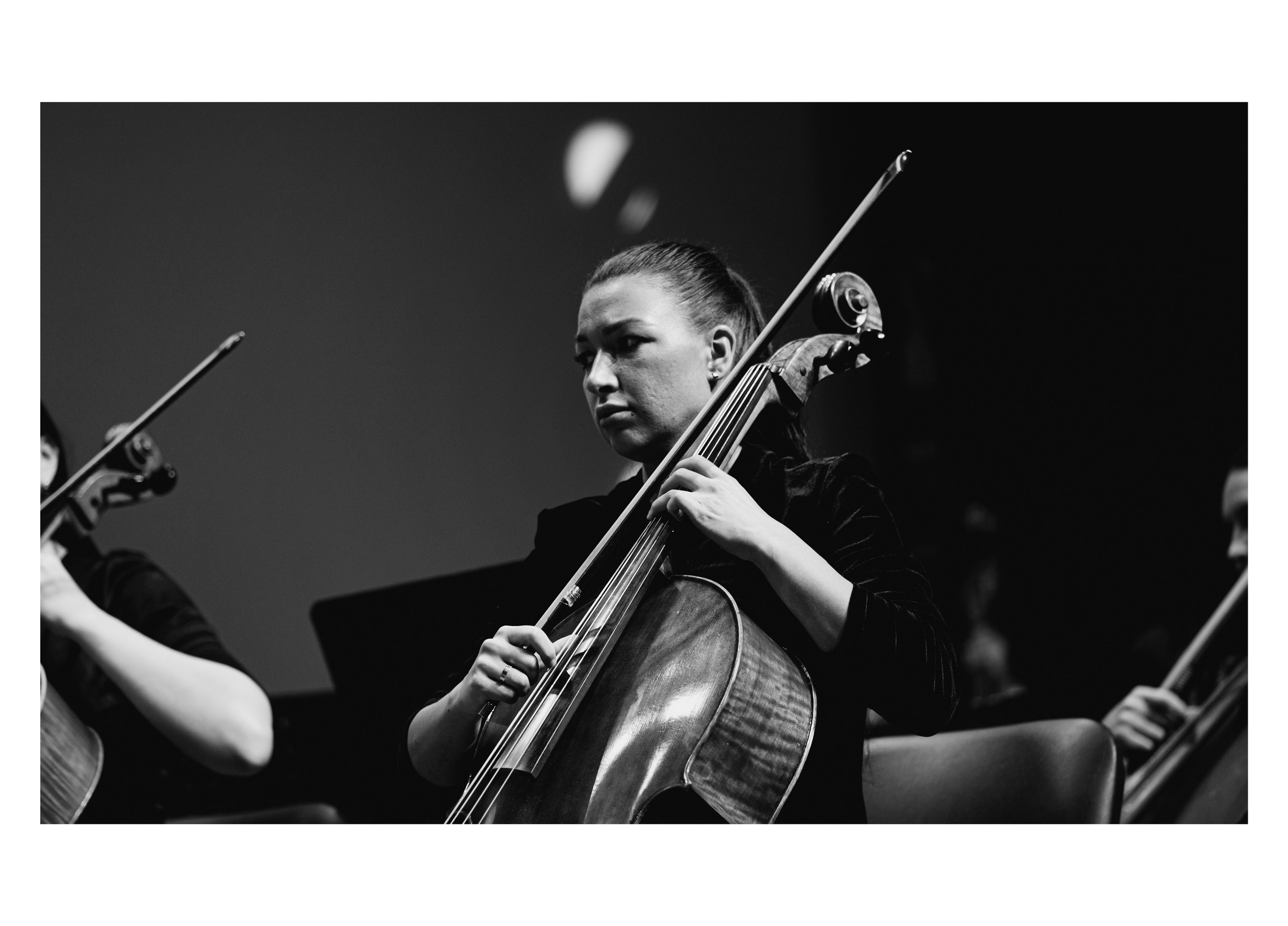 Симфонический оркестр. Творческий и репортажный фотограф в Москве Клим Долгов