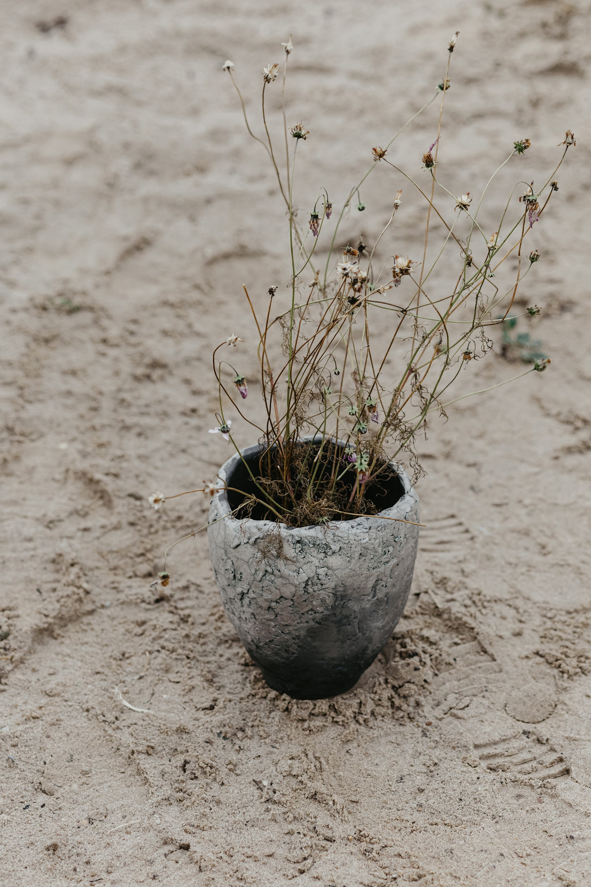 Ваза Айла. Фотограф Эльмира Лин