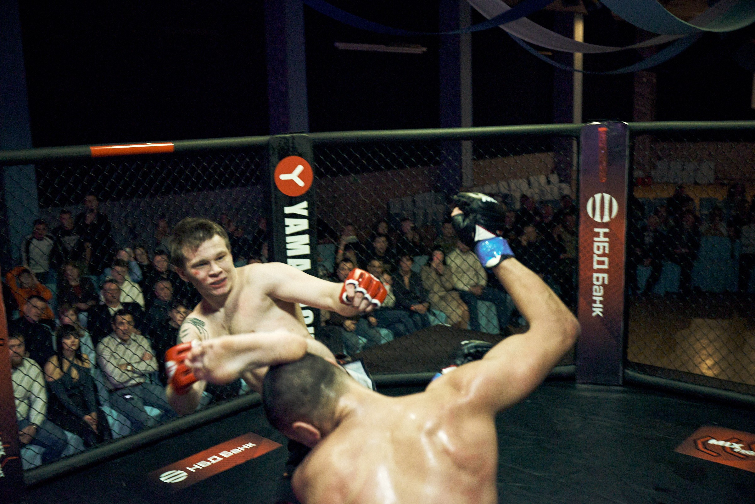 Бои. Маляревич Дмитрий свадебный фотограф