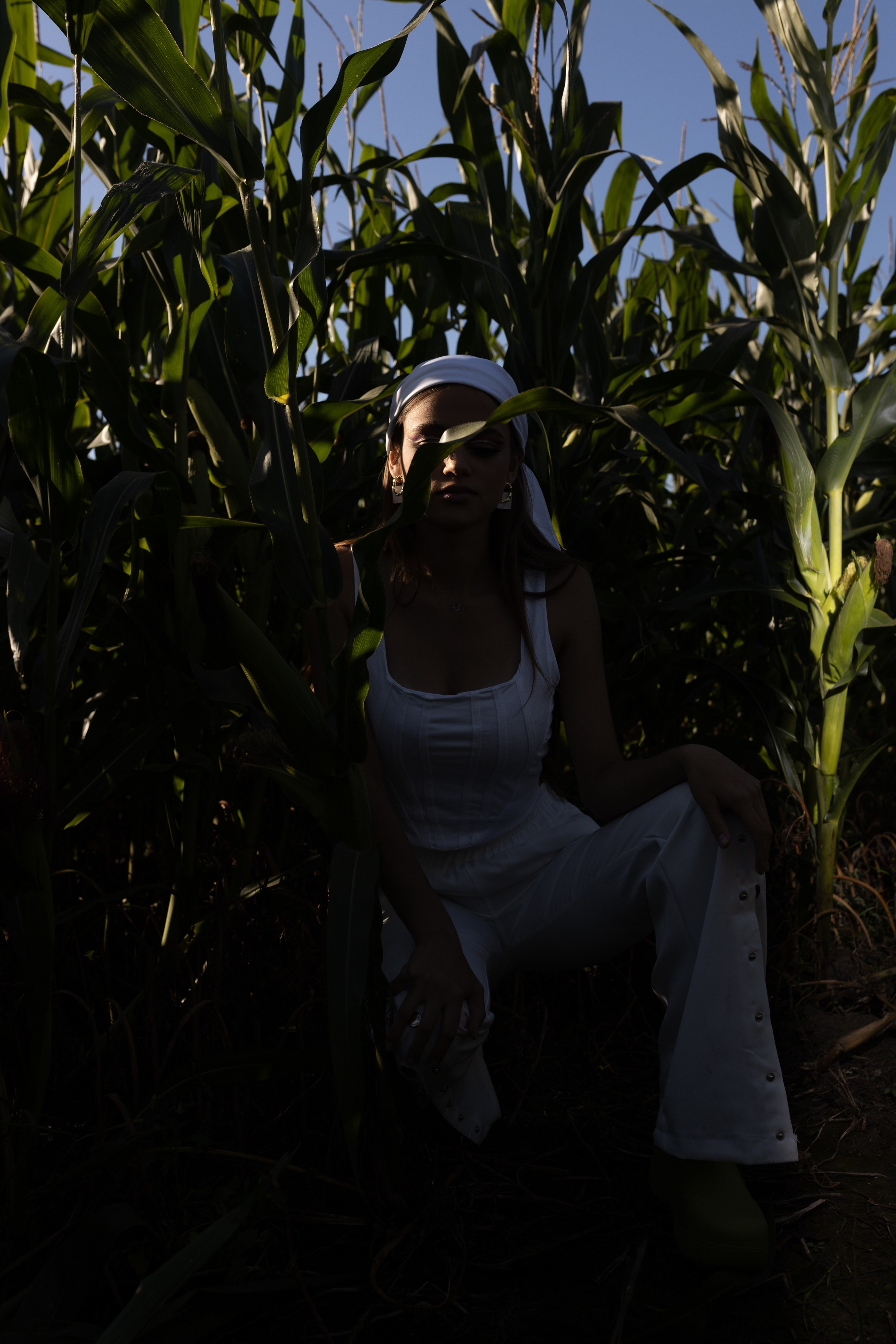 Любовь нашла в кукурузе